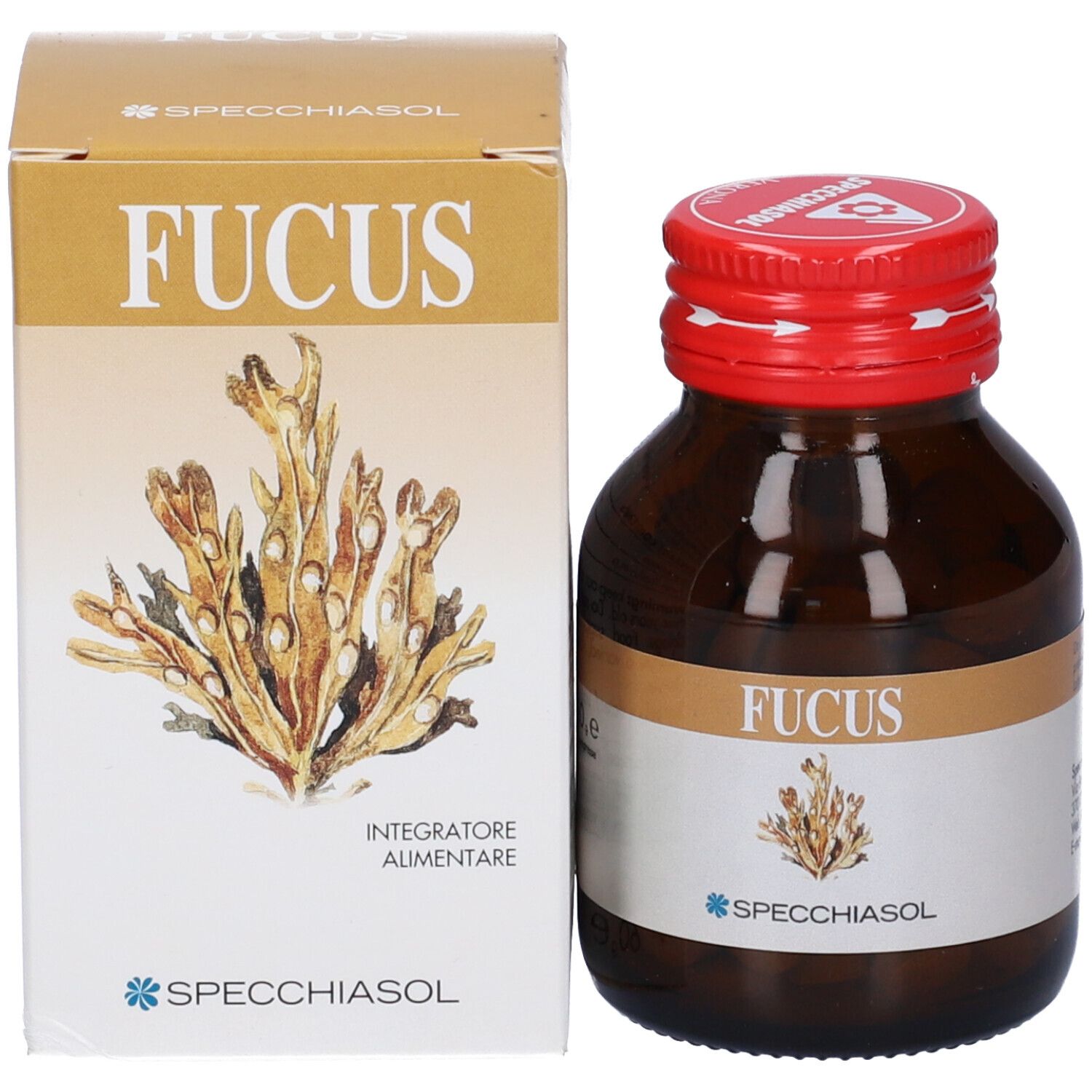 Flacone di vetro marrone e scatola. Scritta: Fucus. Marchio: Specchiasol. Illustrazione di alghe.