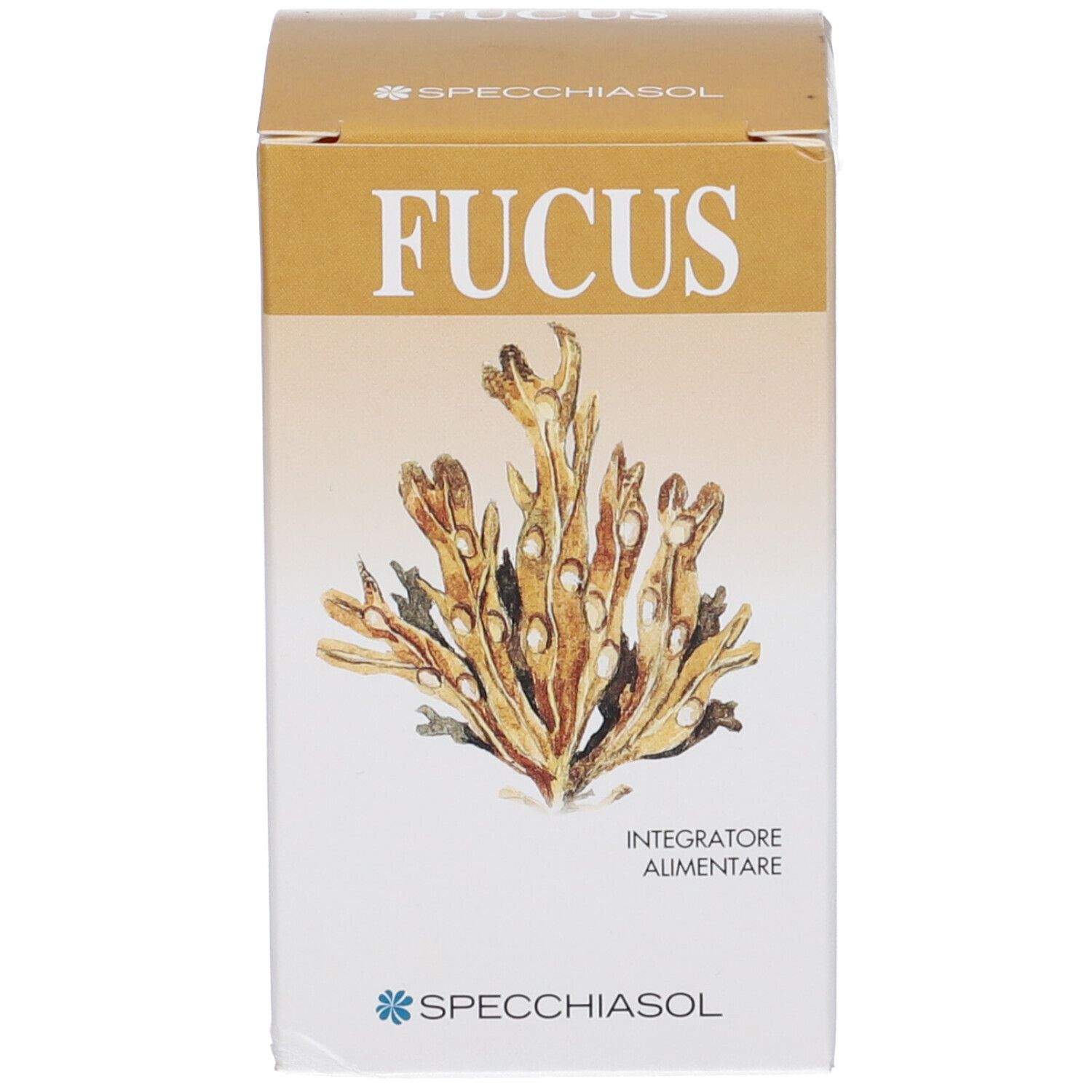 Scatola. Scritta: Fucus. Marchio: Specchiasol. Illustrazione di alghe.
