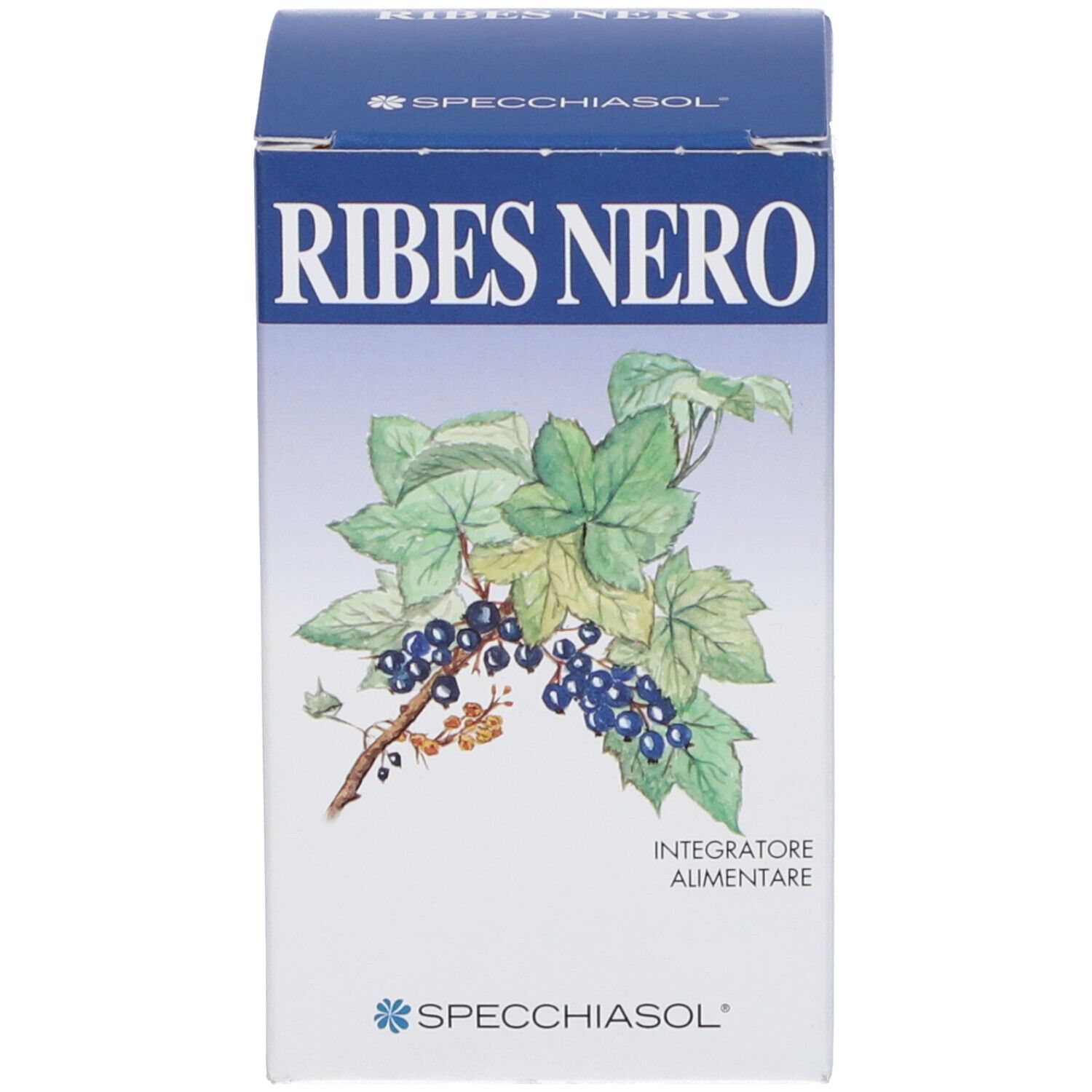 Scatola Ribes Nero. Marchio Specchiasol. Illustrazione di foglie e bacche.