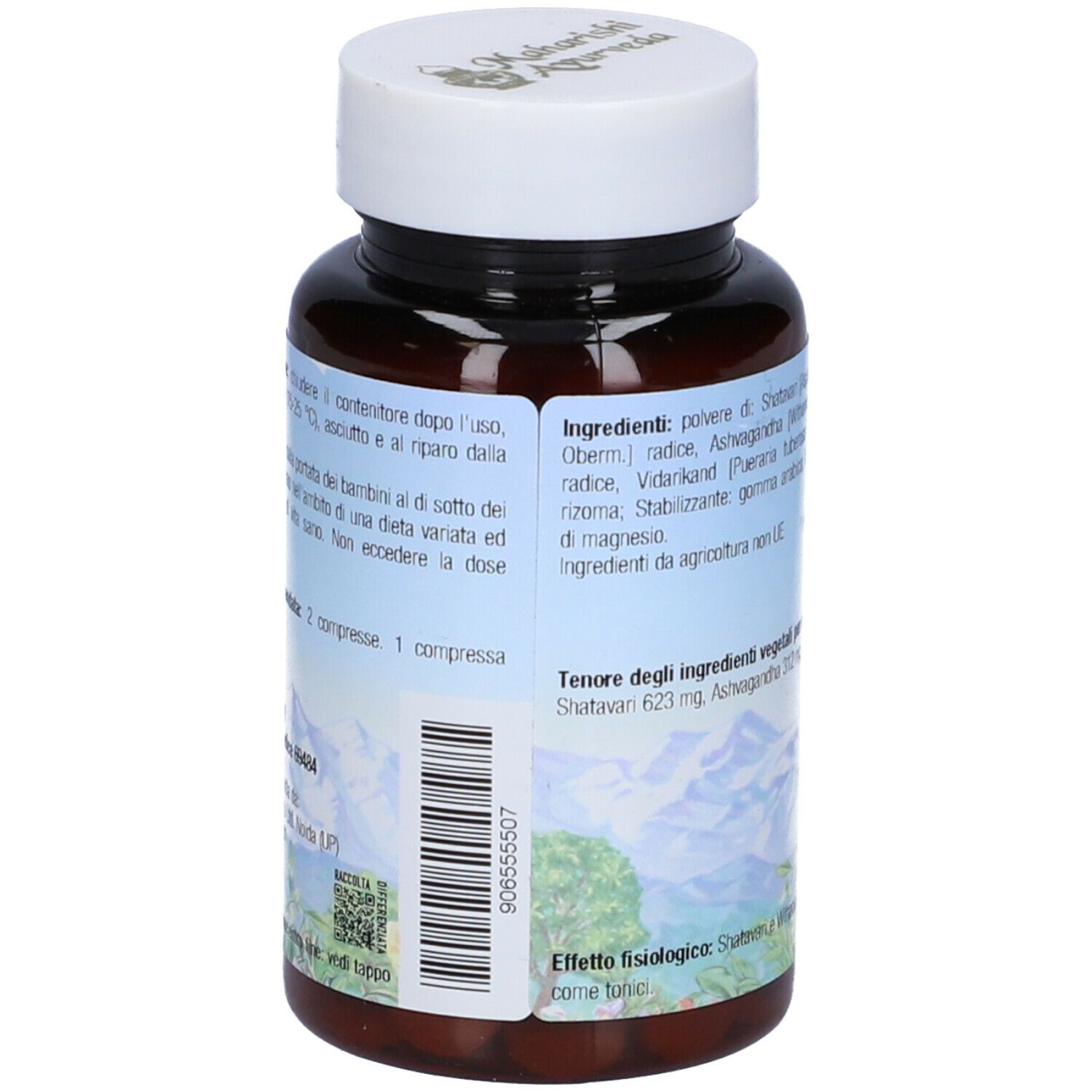 Retro del flacone di compresse. Elenco degli ingredienti e valori nutrizionali. Montagne e piante sullo sfondo.