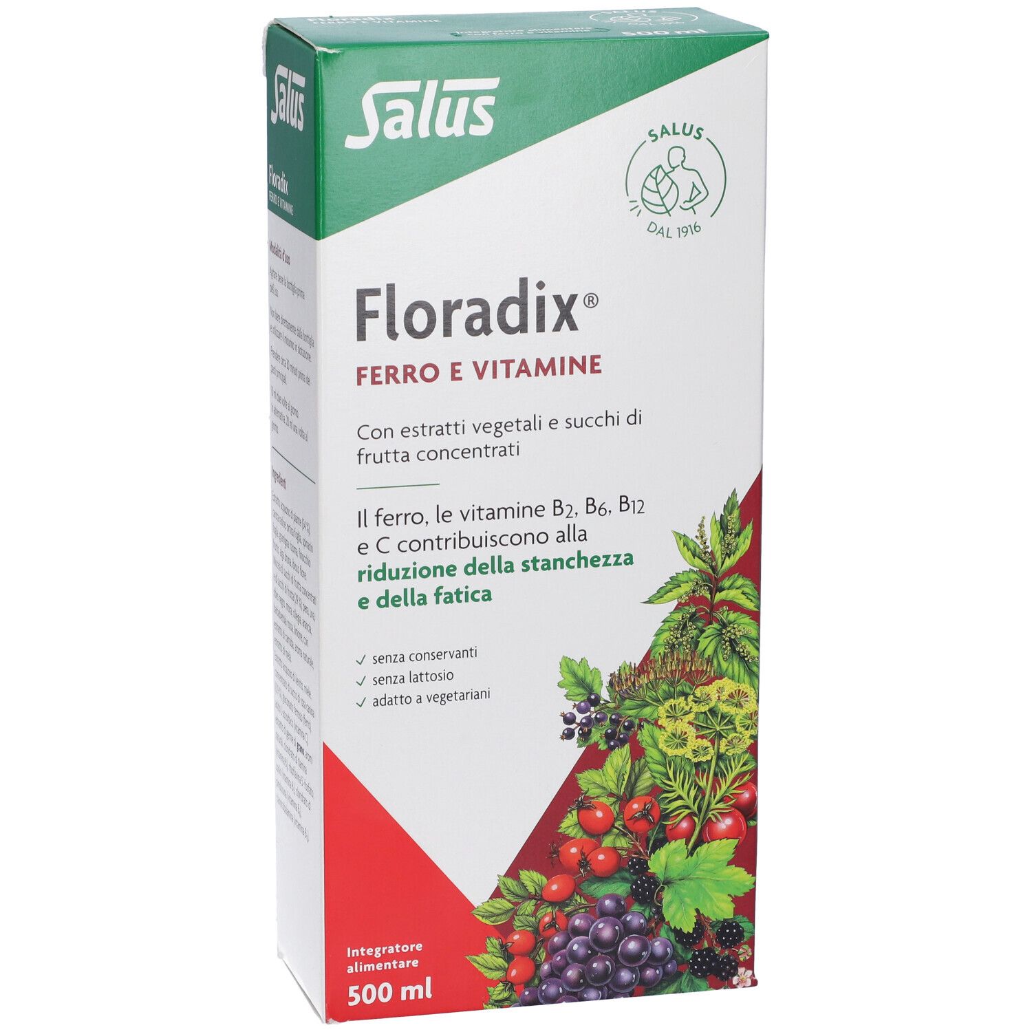 Scatola di cartone con Floradix® Ferro e vitamine. Scritta, illustrazione di frutta ed erbe. Marchio Salus.