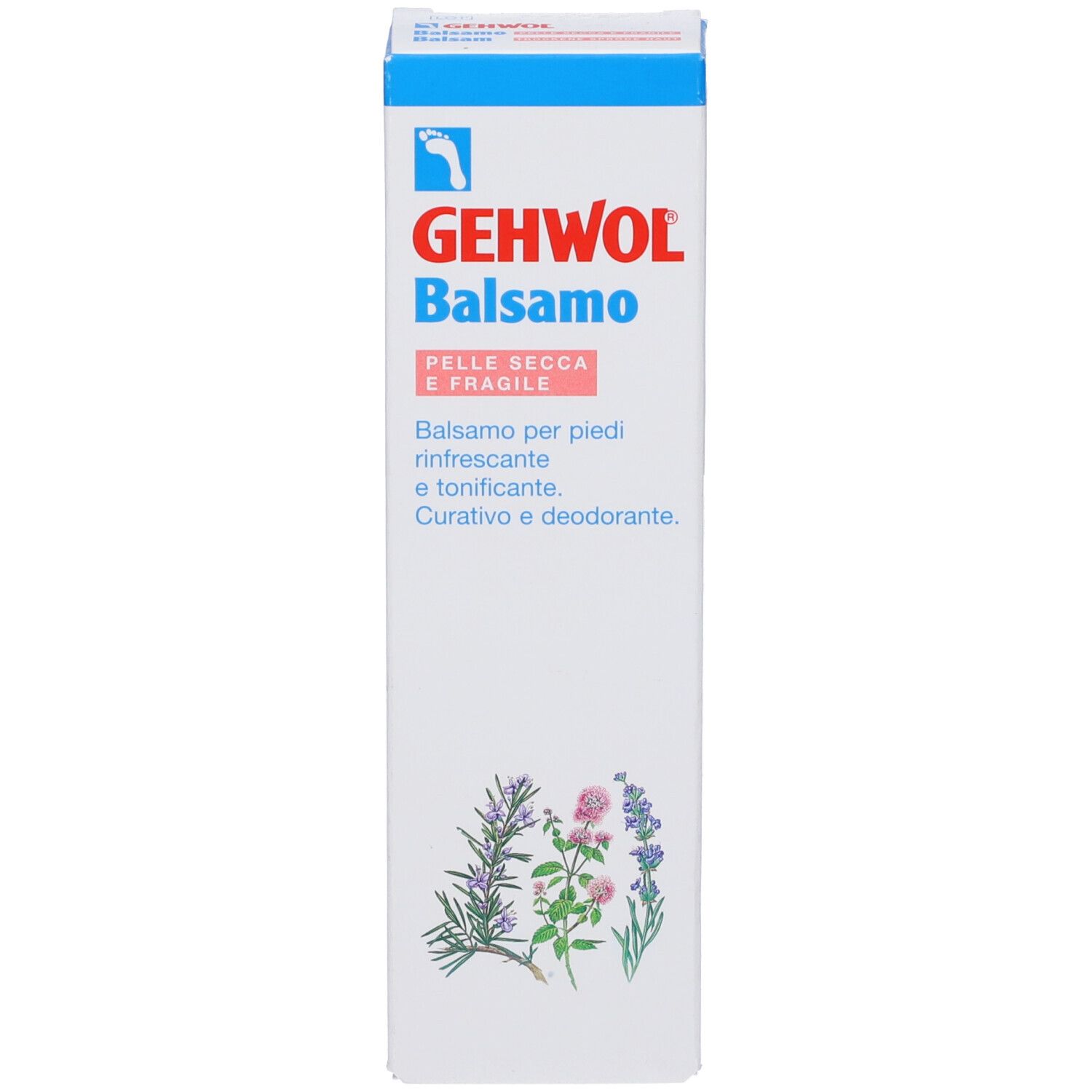 Kartonverpackung mit GEHWOL Balsam. Text: Pelle Secca e Fragile. Pflanzenabbildung. Blau-weiße Farbgebung.