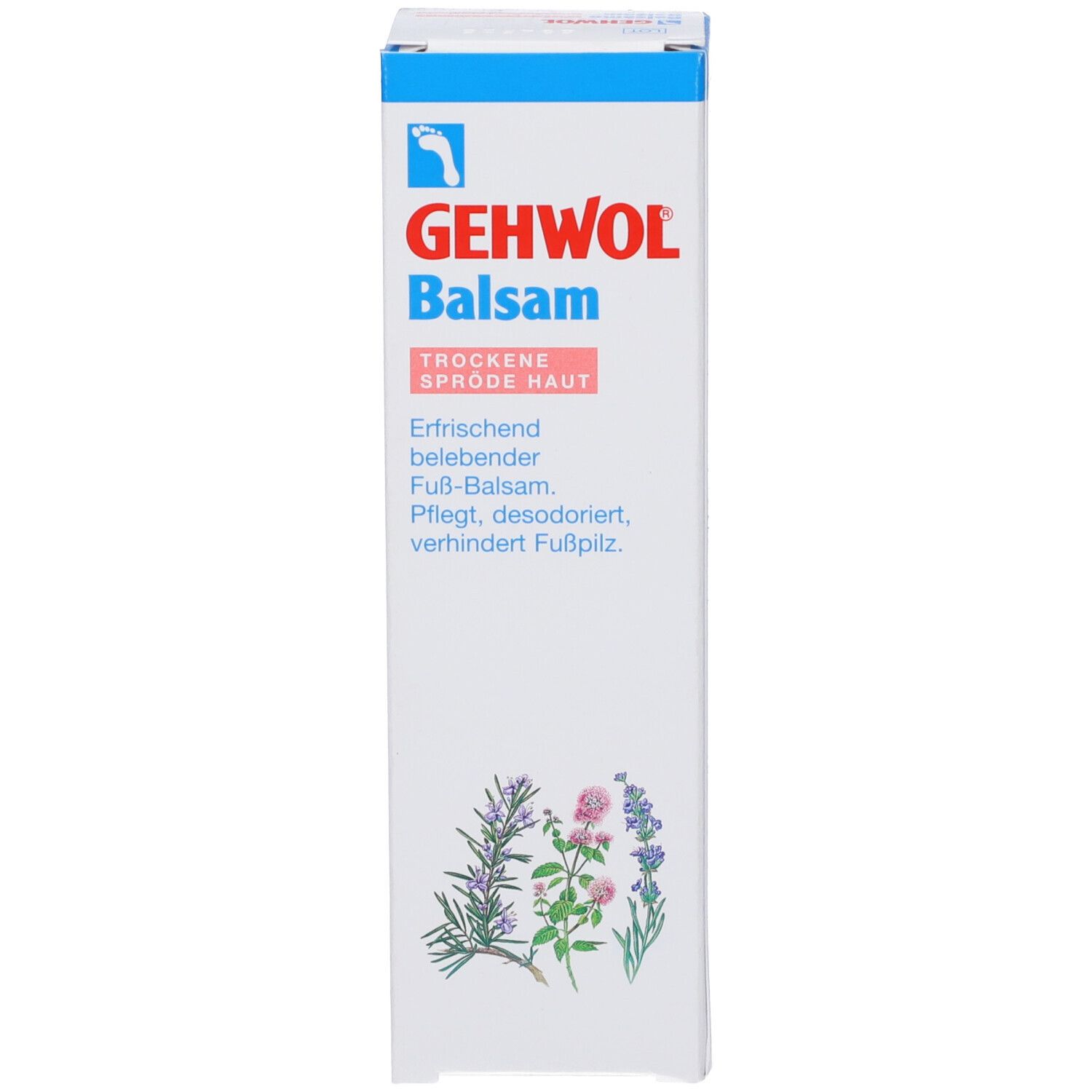 Kartonverpackung mit GEHWOL Balsam. Text: Trockene, spröde Haut. Pflanzenabbildung. Blau-weiße Farbgebung.