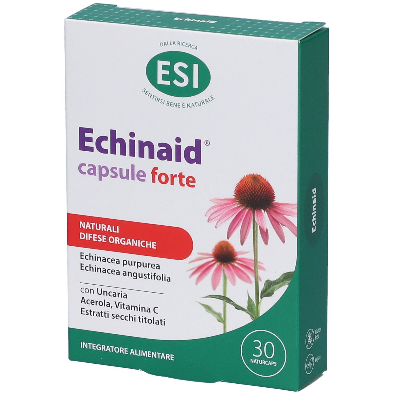 Echinaid Urto 30Cps 30 St Kapseln