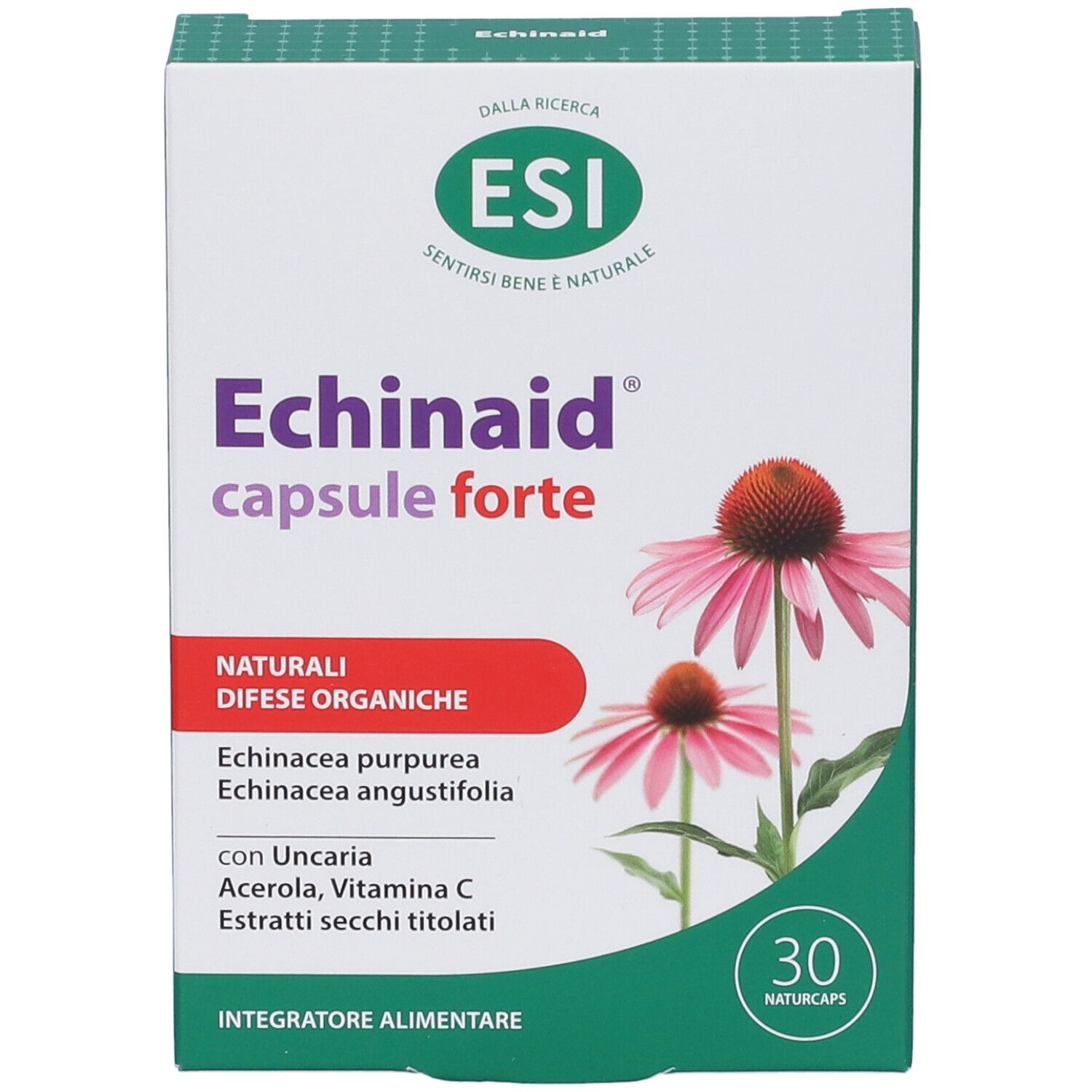 Verpackung von ESI Echinaid® capsule forte. Weiße Schachtel mit Produktnamen, Logo und Illustrationen von Echinacea-Blüten.