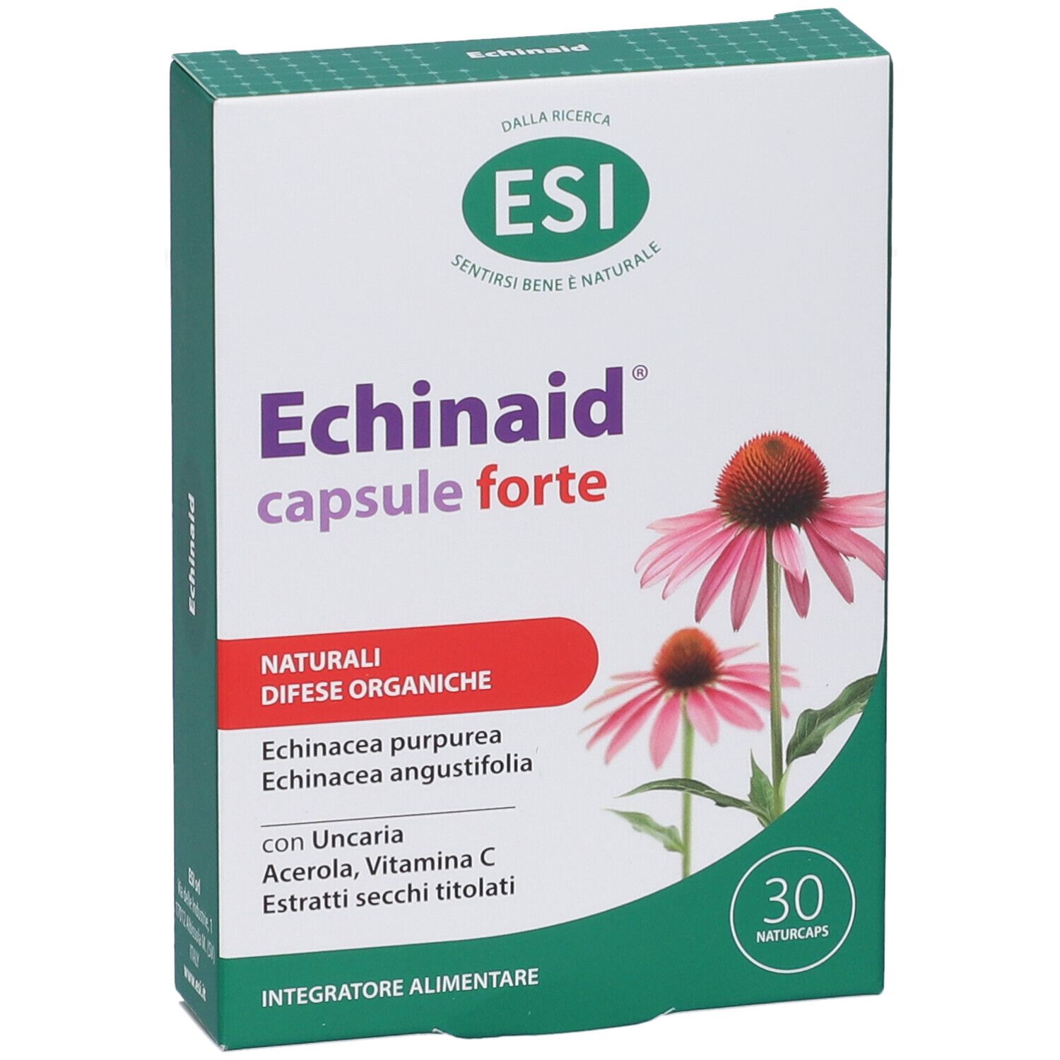 Verpackung von ESI Echinaid® capsule forte. Weiße Schachtel mit Produktnamen, Logo und Illustrationen von Echinacea-Blüten.
