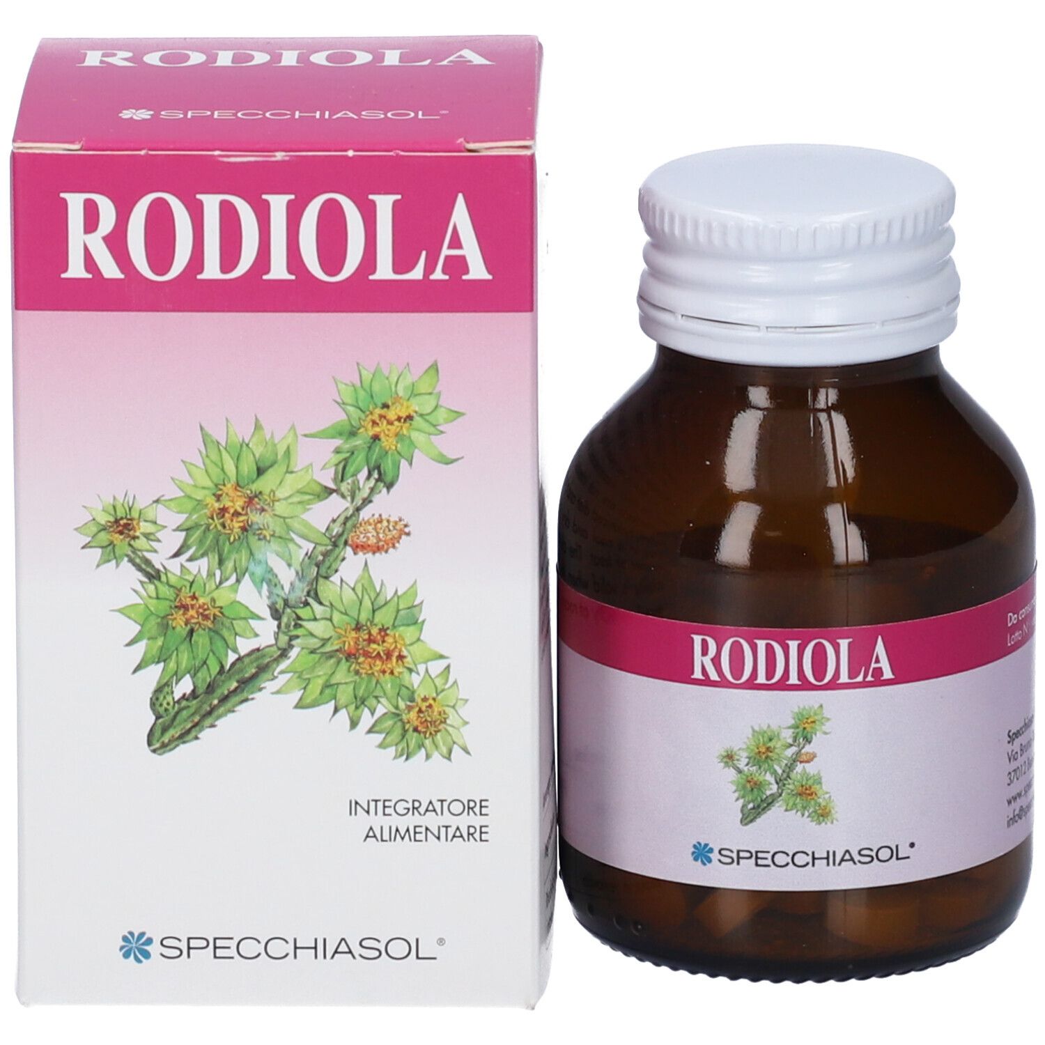 Confezione e flacone in vetro ambrato con tappo a vite bianco, entrambi con scritta 'RODIOLA' e illustrazione di pianta.