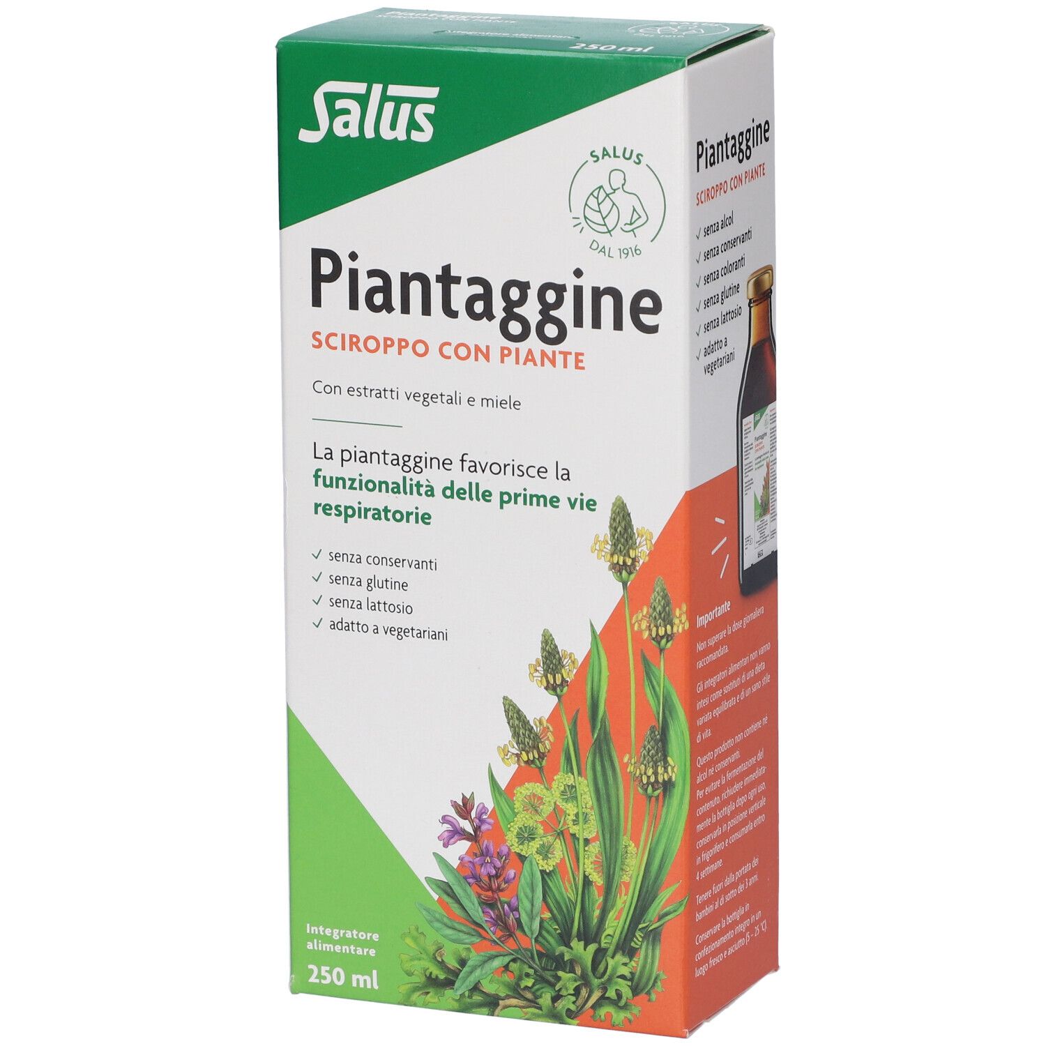 Salus Piantaggine 250ml - Immagine 2