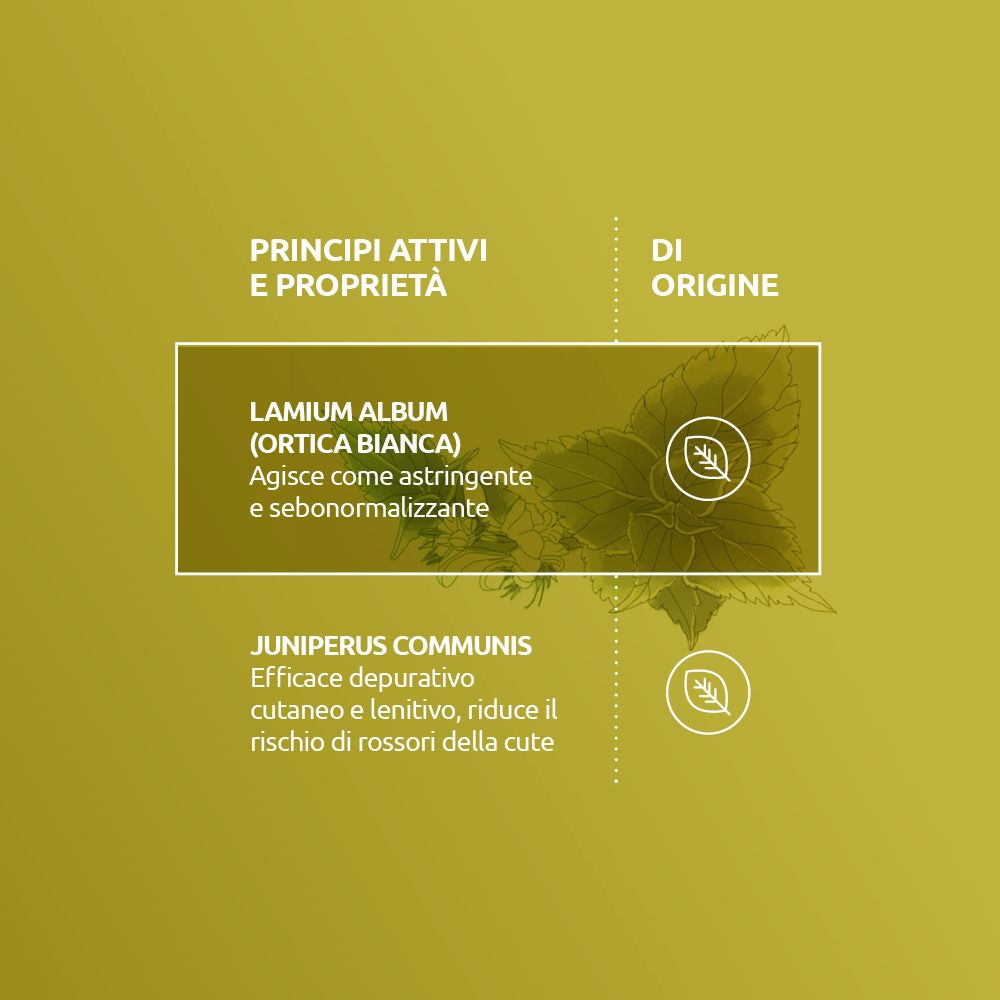 Grüner Hintergrund mit Text: Principi attivi e proprietà. Textabschnitte mit Inhaltsstoffen und Eigenschaften.