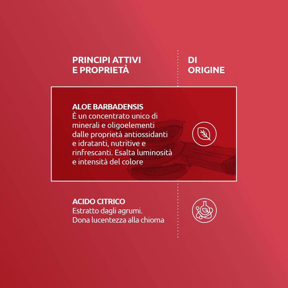 Sfondo rosso con testo: Principi attivi e proprietà. Aloe Barbadensis, acido citrico. Illustrazioni.