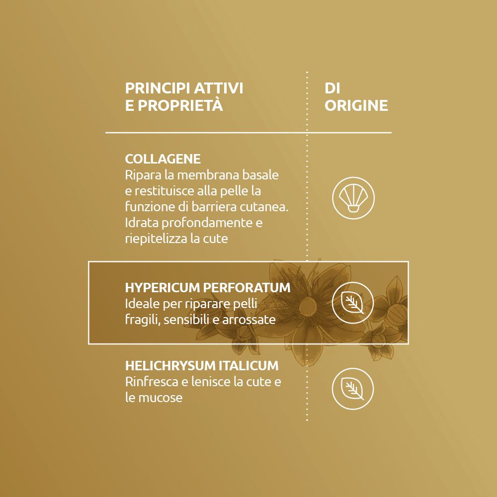 Goldener Hintergrund mit Text: Prinzipien und Eigenschaften. Kollagen, Hypericum perforatum, Helichrysum italicum.