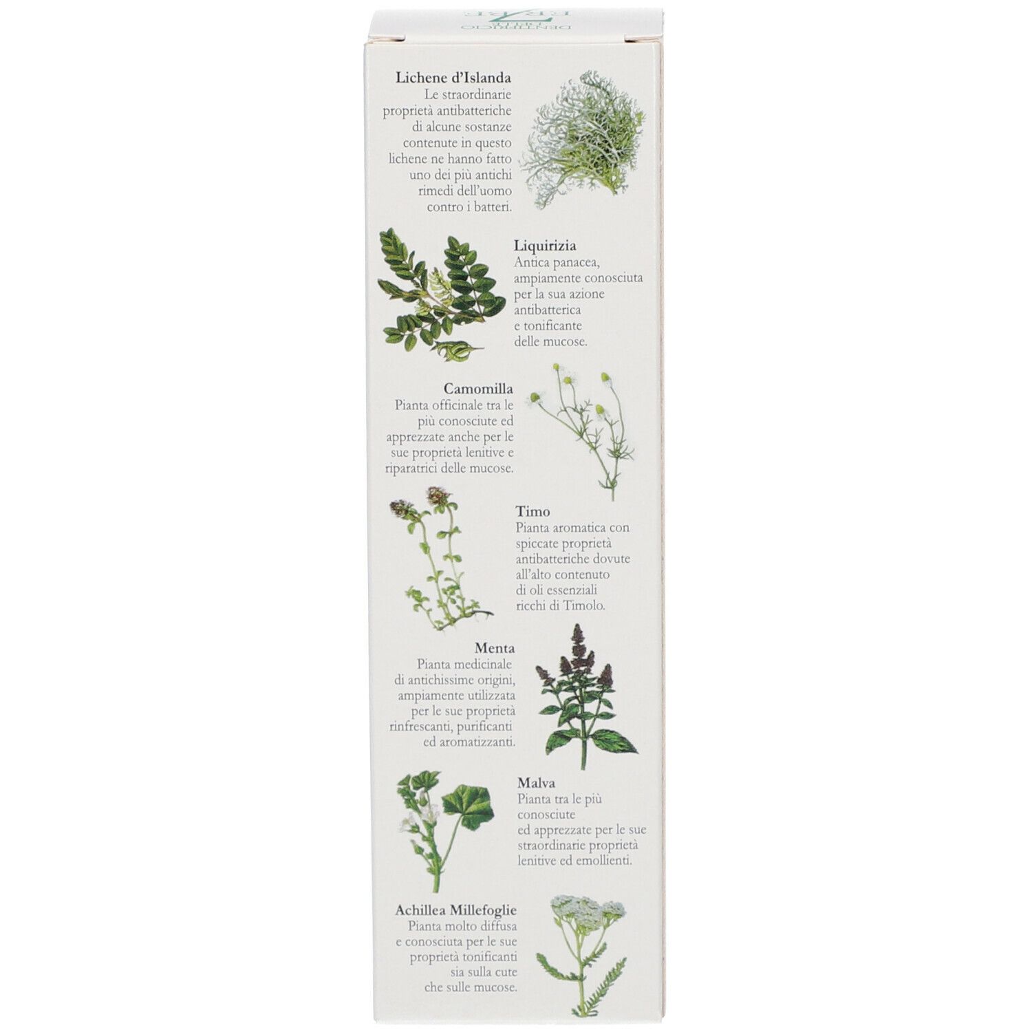 Côté de la boîte avec illustrations et noms d'herbes : camomille, menthe, mauve, etc.
