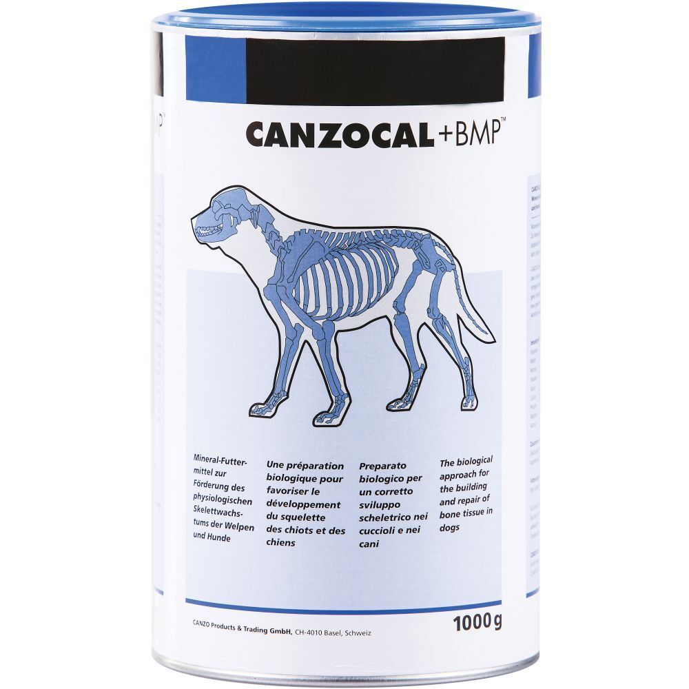 Canzocal+Bmp