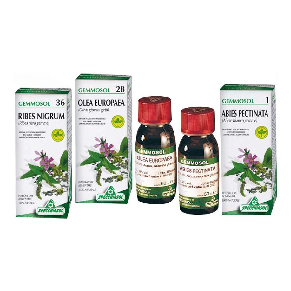 Mehrere Flaschen und Kartons mit Produktaufdrucken. Aufschrift: Gemmosol, Ribes Nigrum, Olea Europaea, Abies Pectinata.