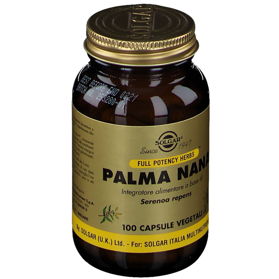 Flacone di vetro marrone con tappo dorato. L'etichetta riporta "SOLGAR Palma Nana" e "100 Capsule Vegetali".