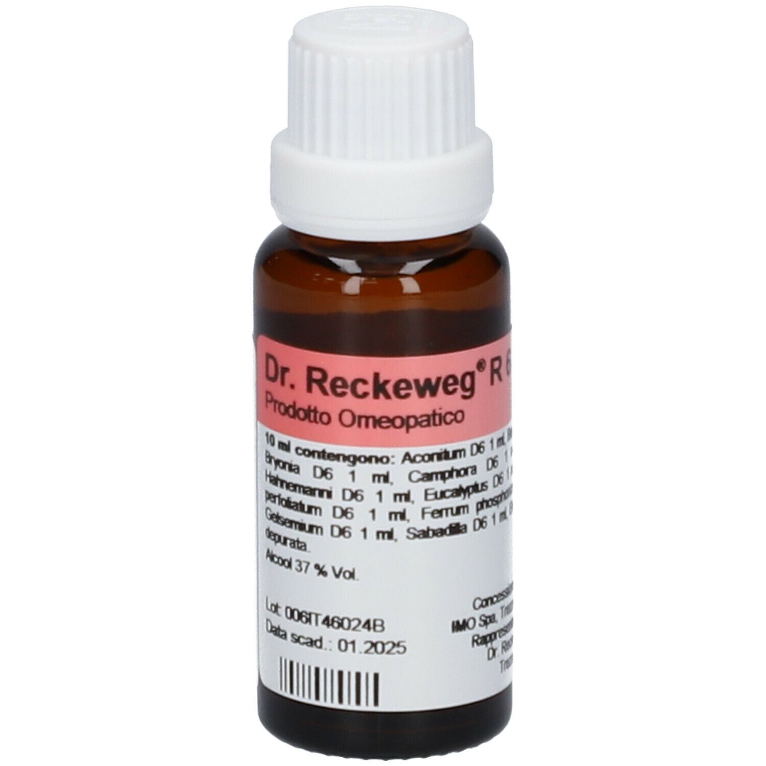 Dr.Reckeweg® R6