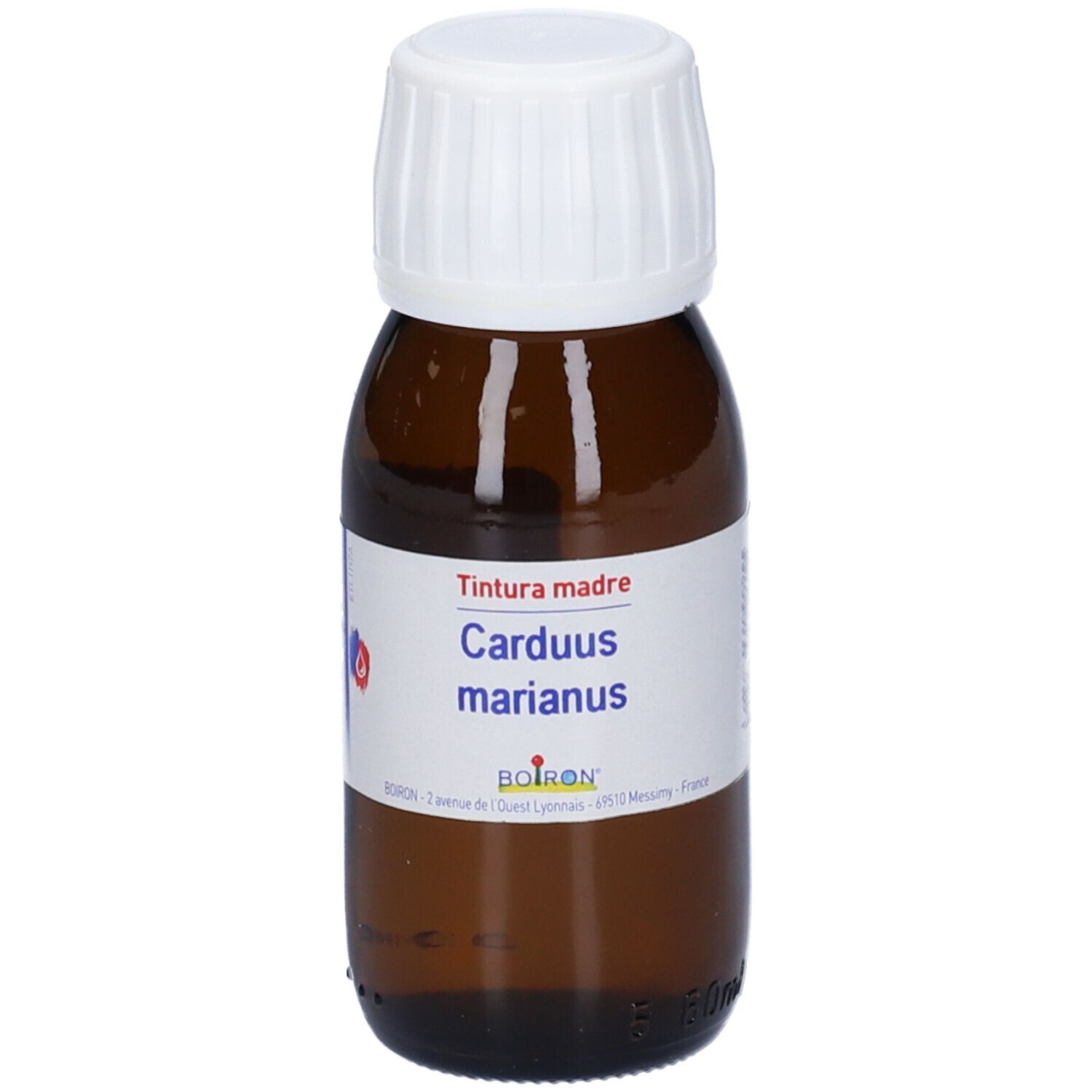 Carduus Marianus Tintura Madre 60 Ml