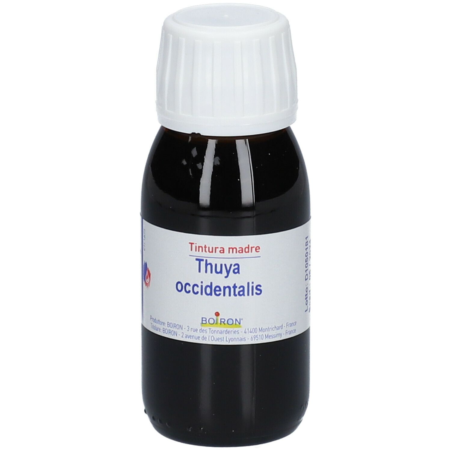 BOIRON® Thuya Occidentalis Tintura Madre