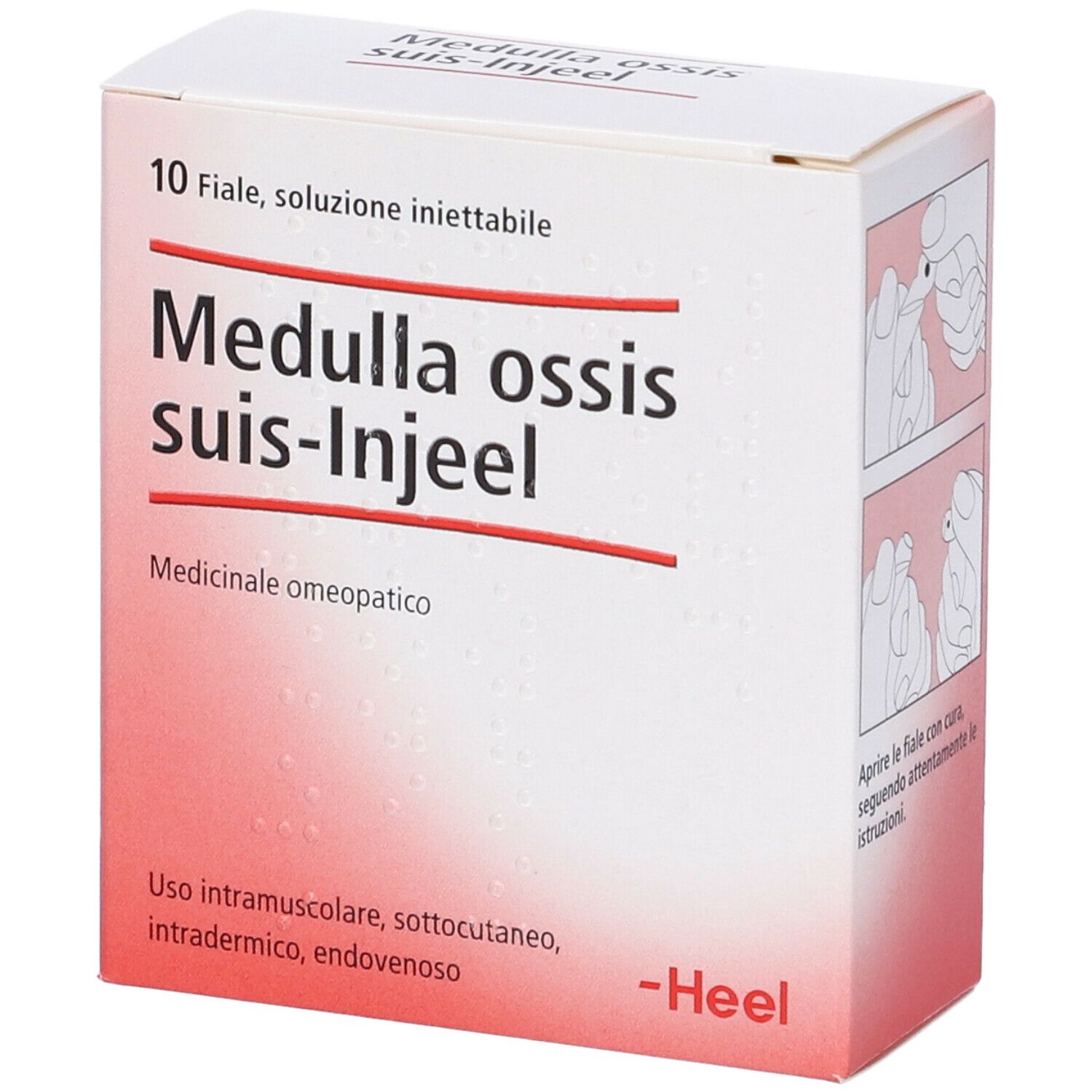 Scatola di Medulla ossis suis-Injeel. Scritto: 10 fiale, soluzione iniettabile. Logo Heel.