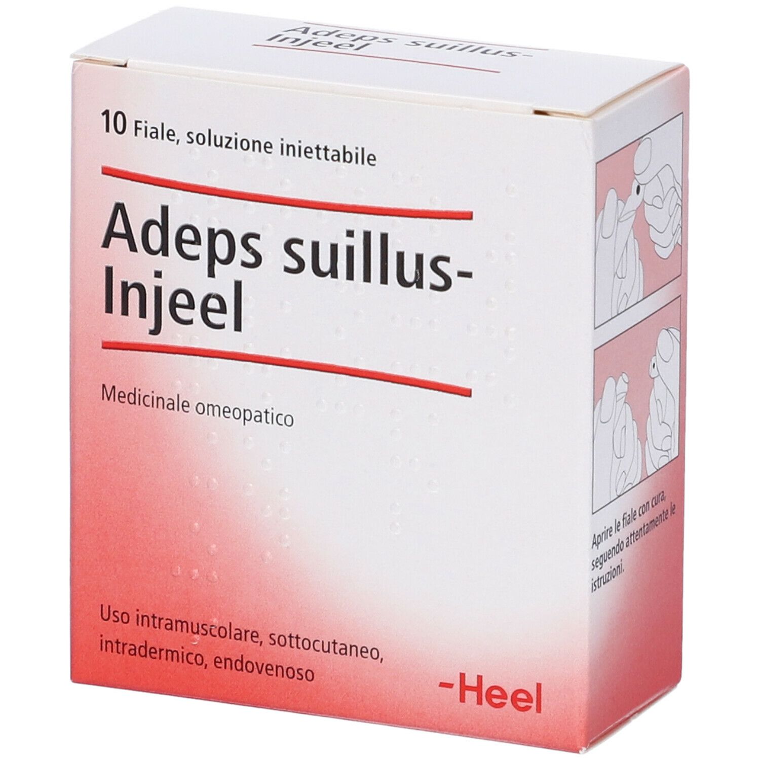 Guna Adeps suillus-Injeel