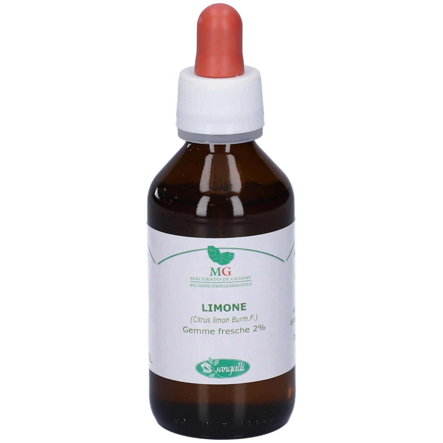 MG Limone (Citrus limonium) gemme