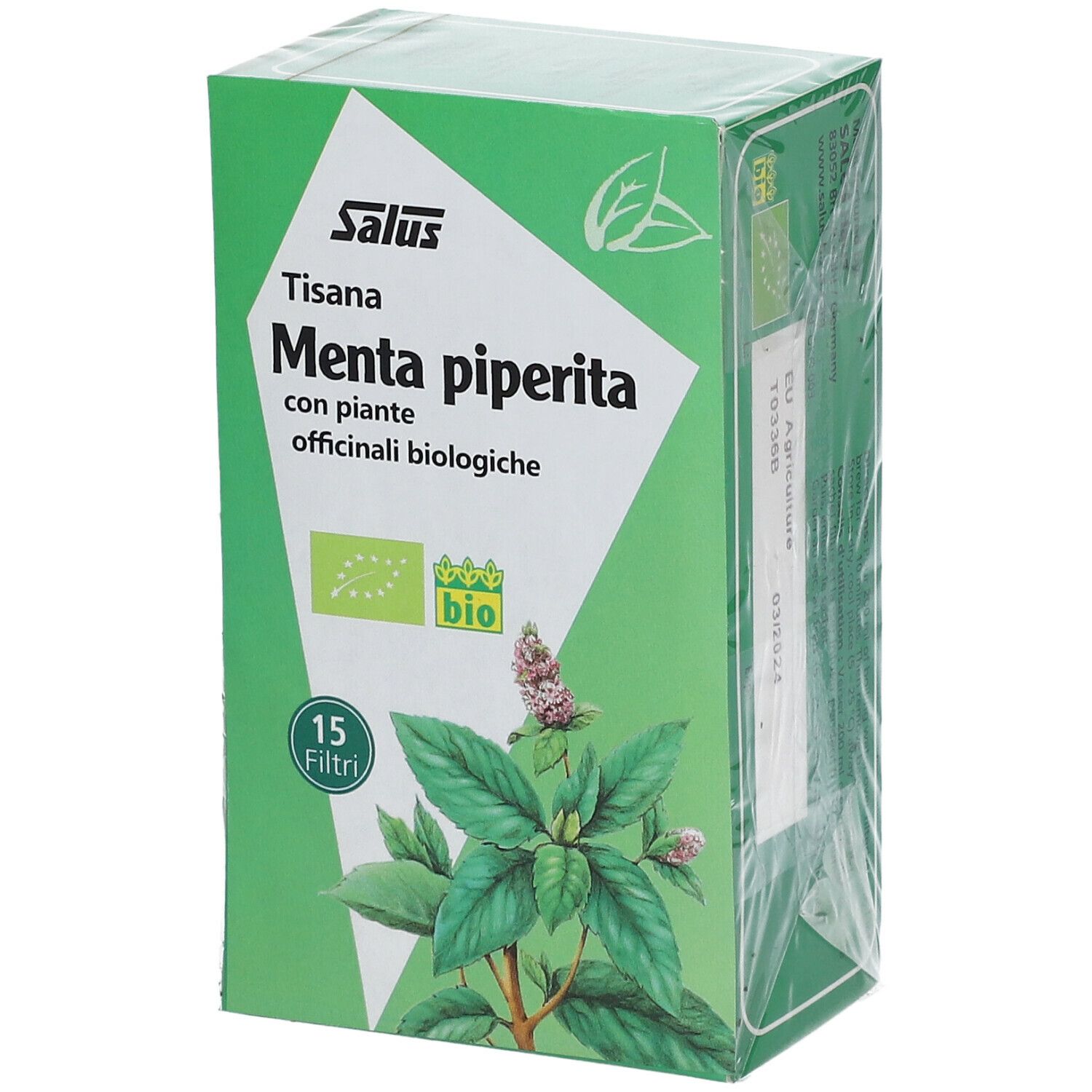 Scatola verde confezionata Salus Tisana Menta piperita. Certificazione bio. Menta piperita. 15 filtri.