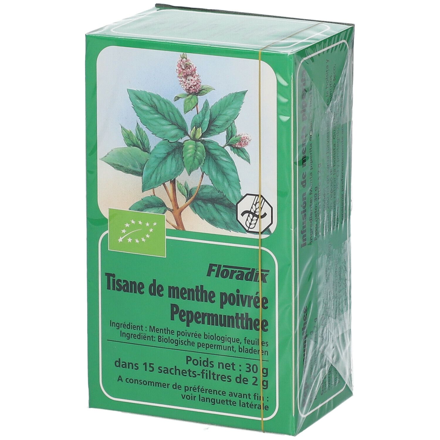 Scatola verde confezionata con testo. Salus Tisana Menta piperita. Certificazione bio. Menta piperita. 15 filtri.