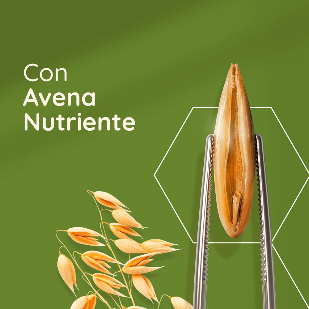 Graine d'avoine dans une pince. Texte : Con Avena Nutriente.