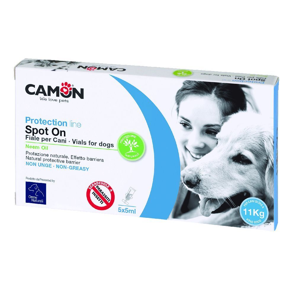 Protection Spoton Cane >10 5X5