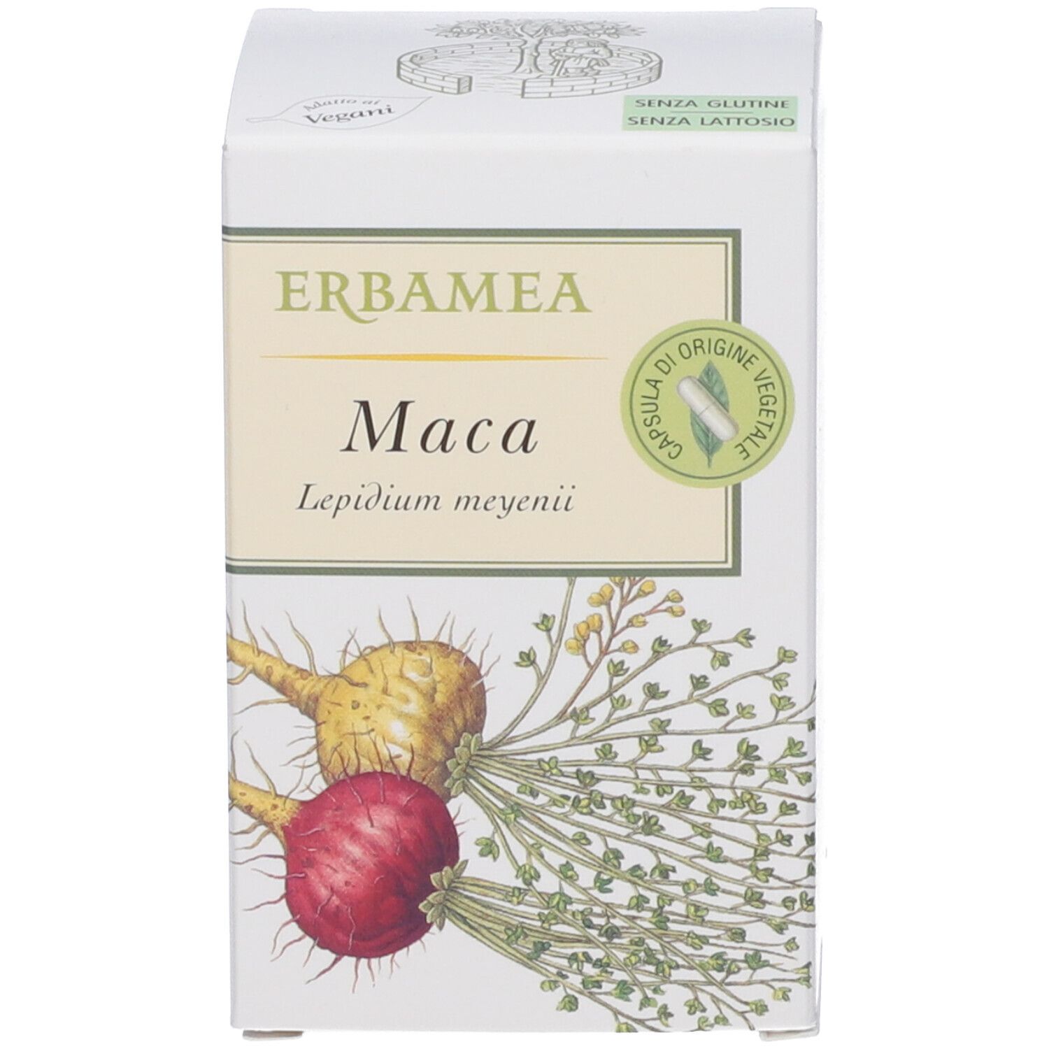 Weiße Schachtel mit Erbamea Maca-Kapseln. Abbildung von Maca-Pflanzen. Glutenfrei, laktosefrei.