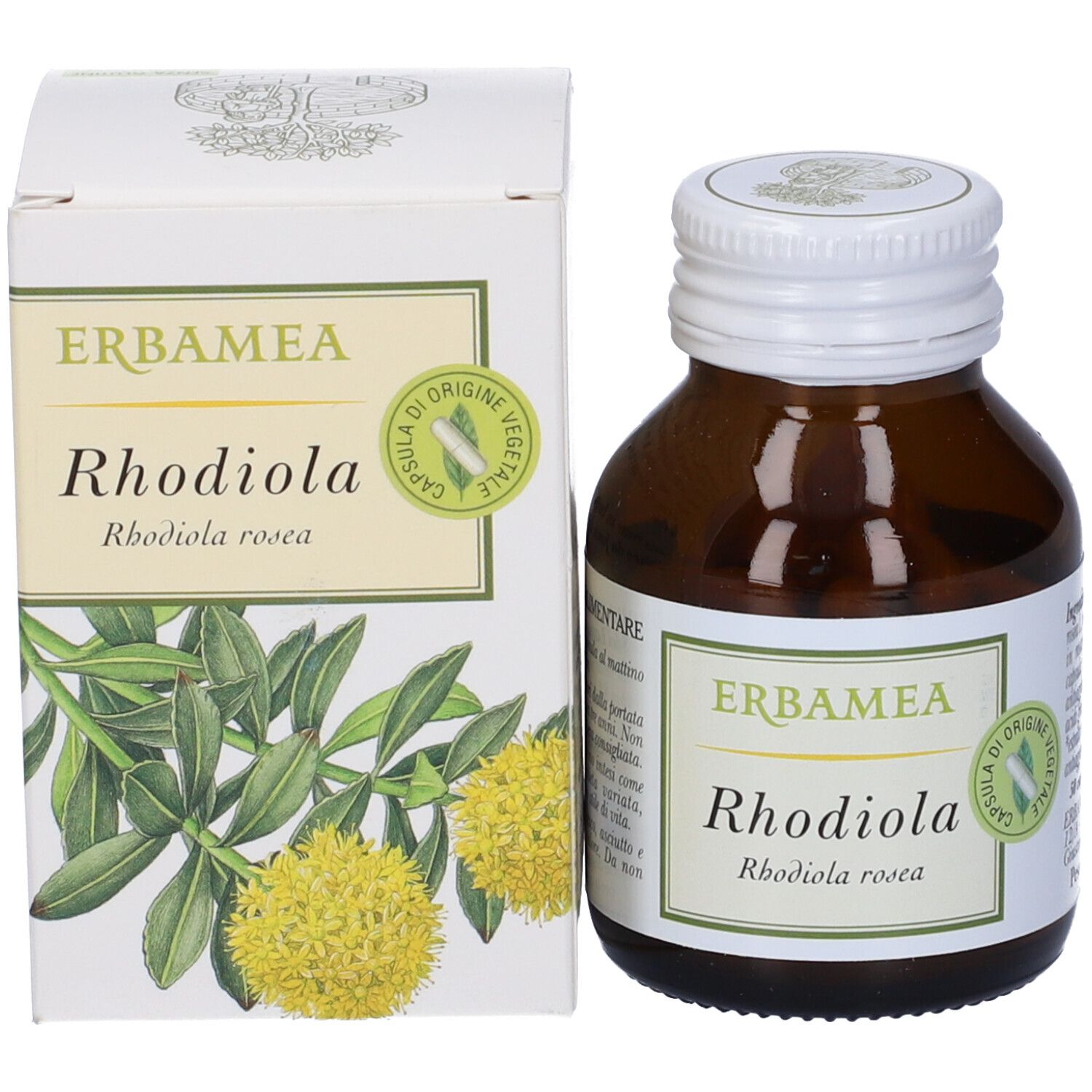 Braune Glasflasche mit weißem Deckel und Karton. Auf dem Karton: Erbamea Rhodiola, Rhodiola rosea. Pflanzenabbildung.