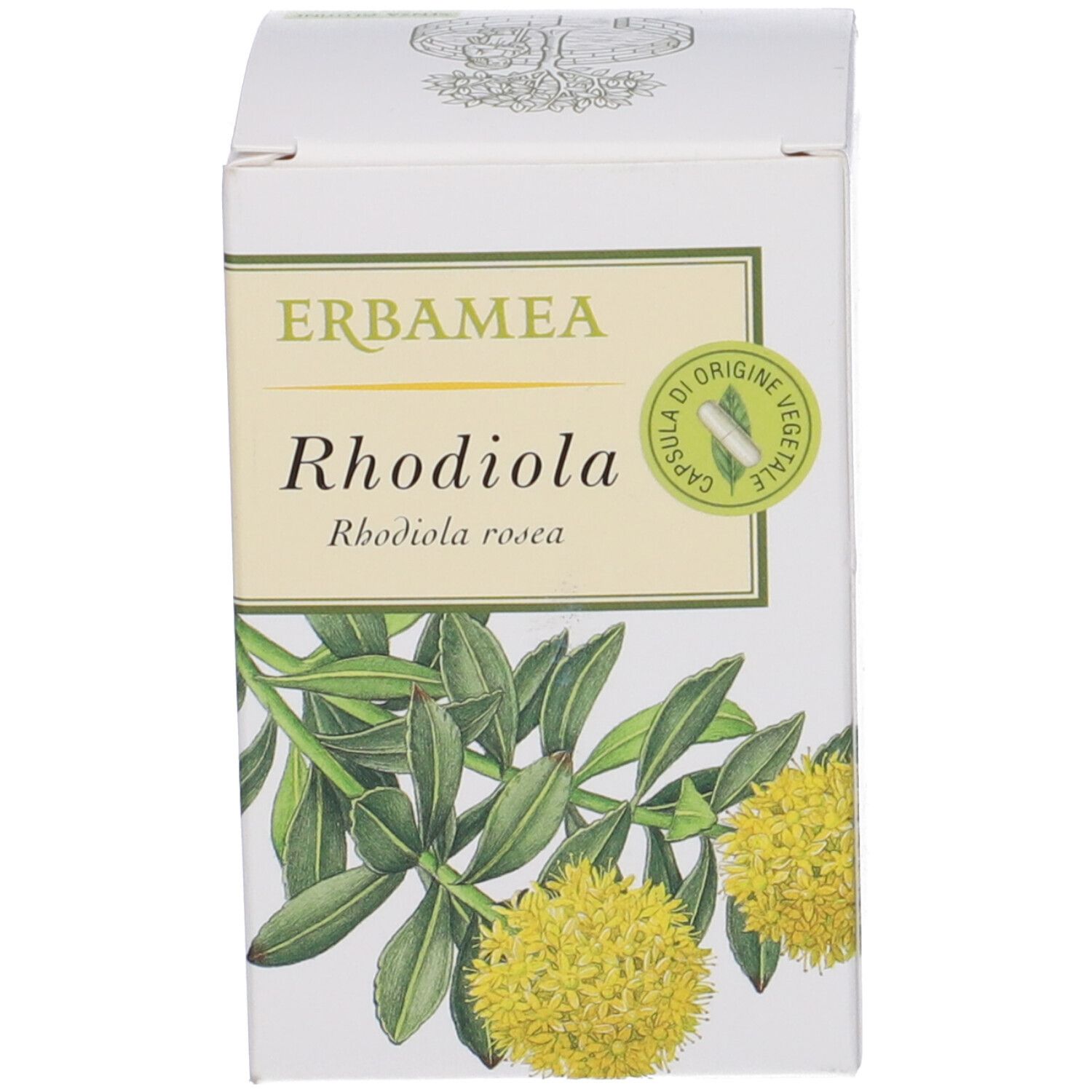 Karton mit Text: Erbamea Rhodiola, Rhodiola rosea. Pflanzenabbildung. Kapsel-Symbol.