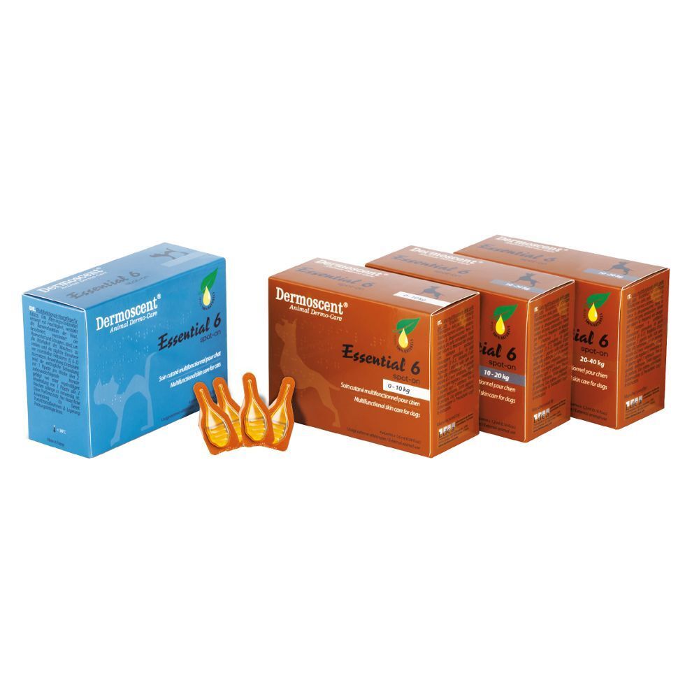 Prodotti confezionati blu e marroni. Le scatole riportano "Dermoscent Essential 6". Sono visibili diverse pipette.