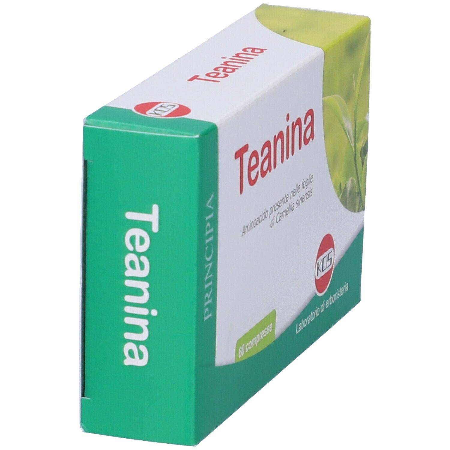 Scatola "Teanina" in vista obliqua. Confezione verde e bianca. Scritta "Teanina".