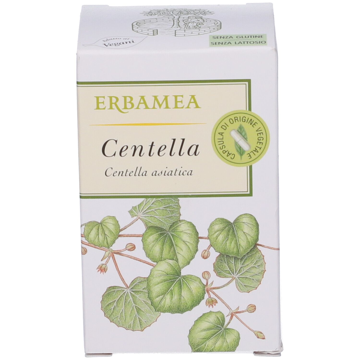 Scatola bianca con nome, logo e illustrazione di foglie. Vegano e senza lattosio.