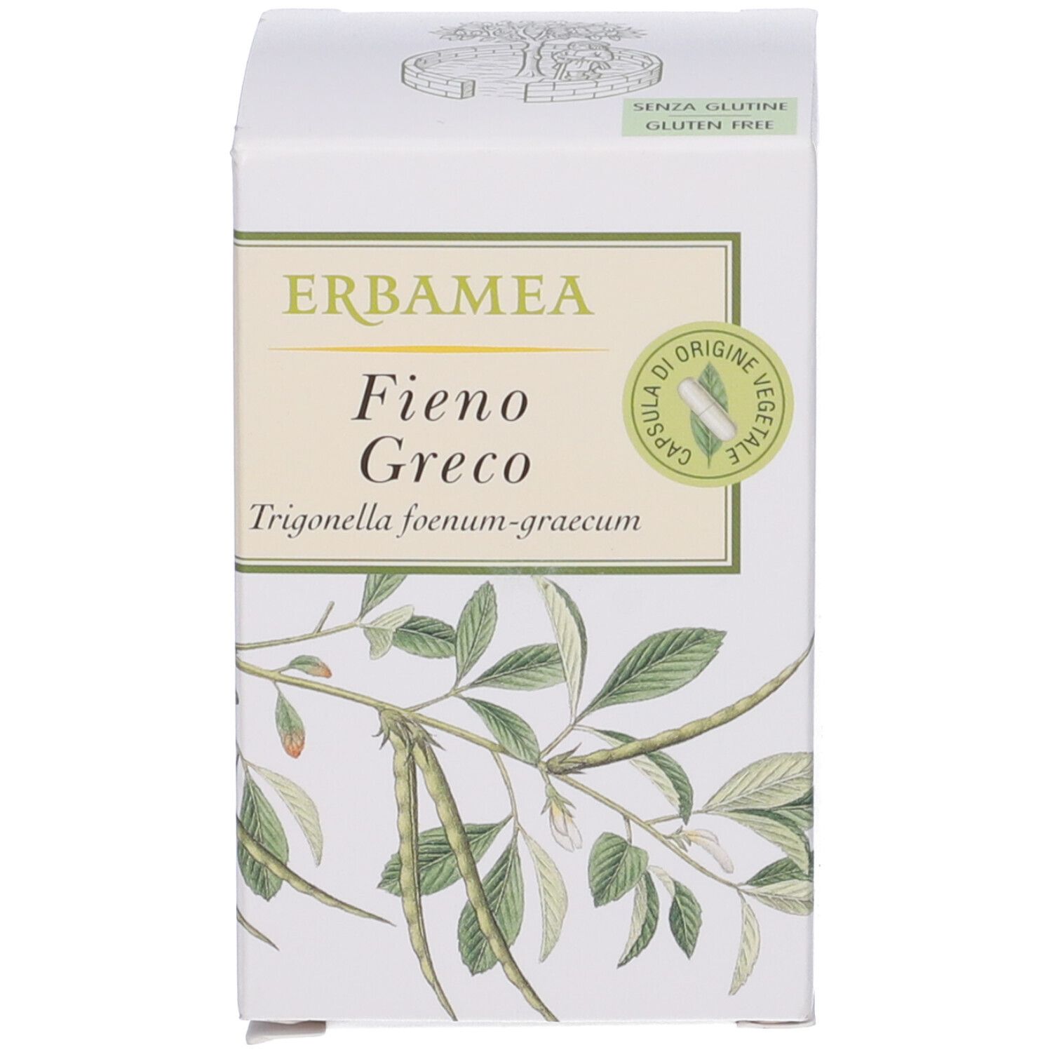 Erbamea Cajeput olio essenziale in flacone di vetro ambrato e scatola.