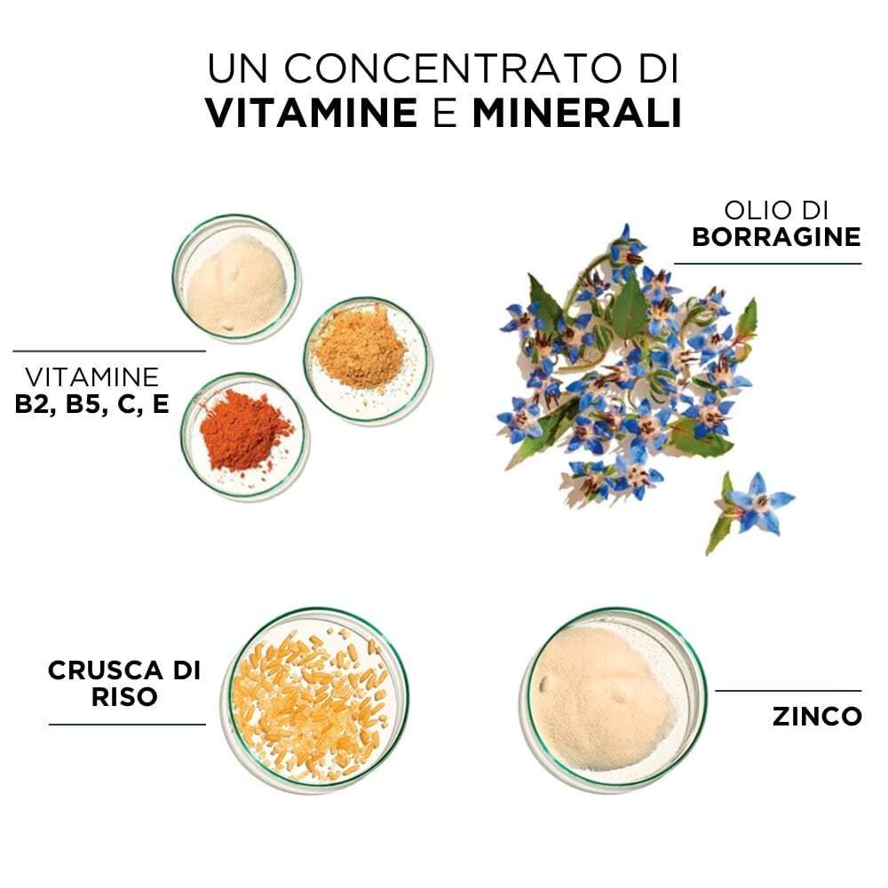Ingredienti in ciotole: vitamine, fiori di borragine, crusca di riso e zinco. Testo: UN CONCENTRATO DI VITAMINE E MINERALI (una concentrazione di vitamine e minerali).