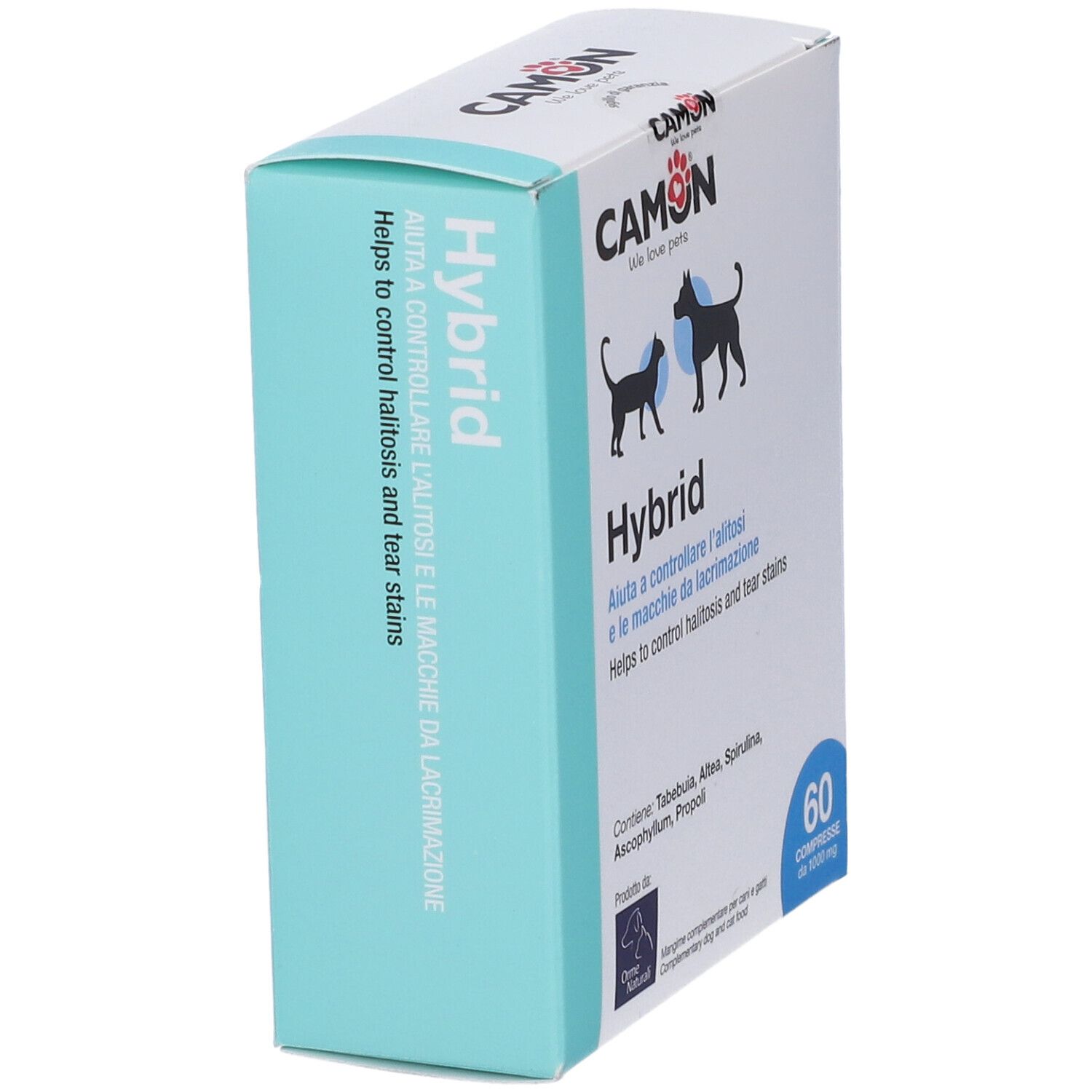 Karton Hybrid von CAMON. Text in Italienisch und Englisch. 60 Tabletten.