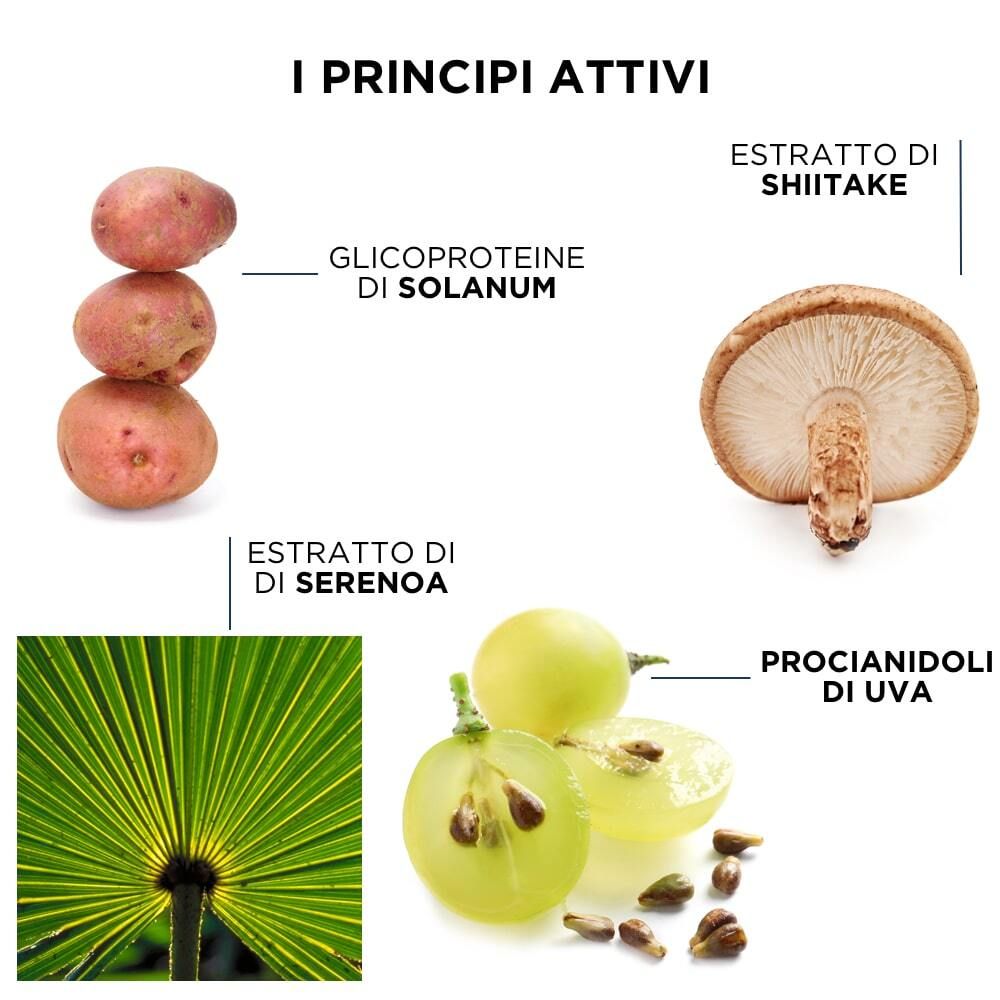 Illustration des ingrédients : pommes de terre, champignon shiitake, feuille de palmier nain, raisins.
