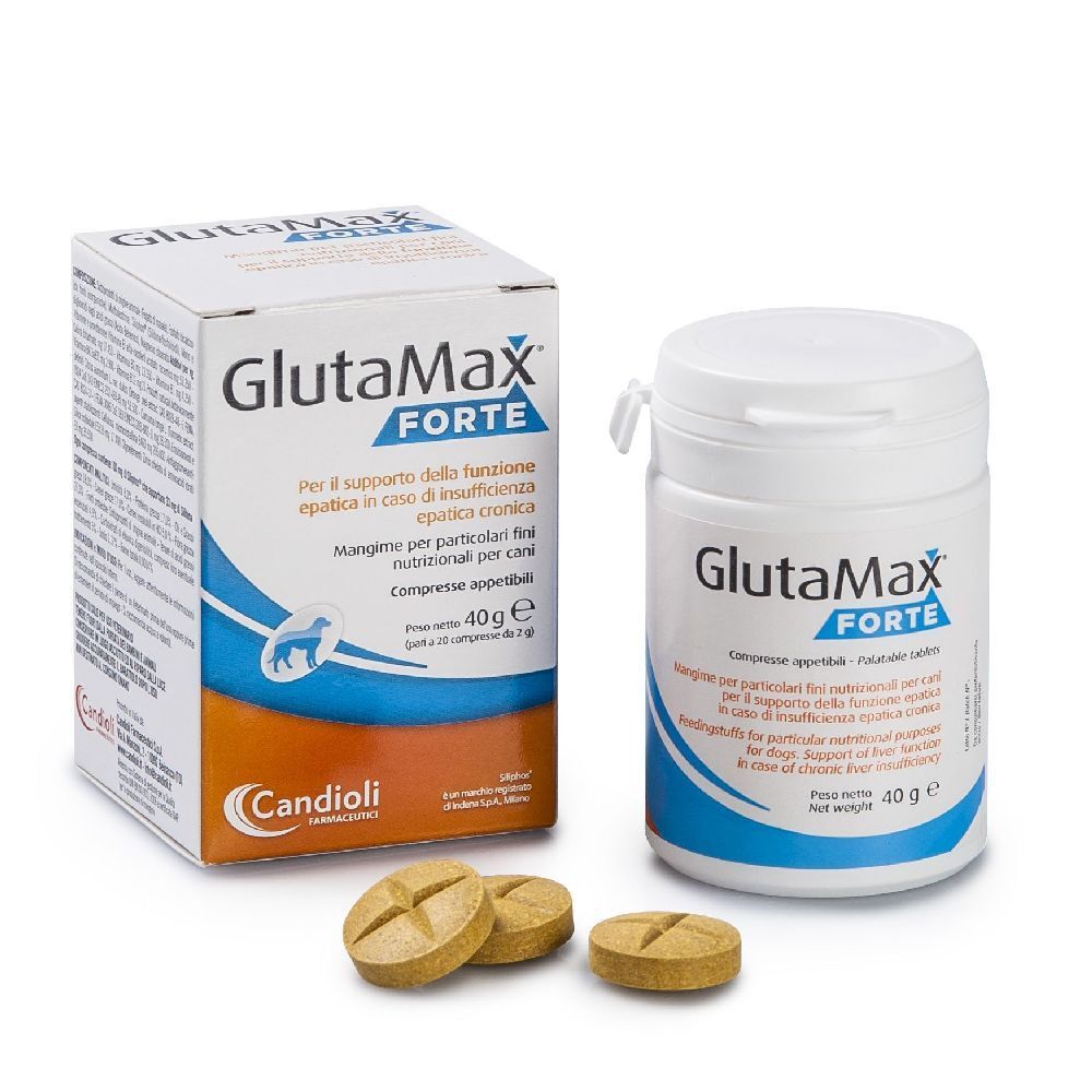 Confezione e flacone di compresse bianche. Scritta Glutamax Forte. Tre compresse. Marchio Candoli.