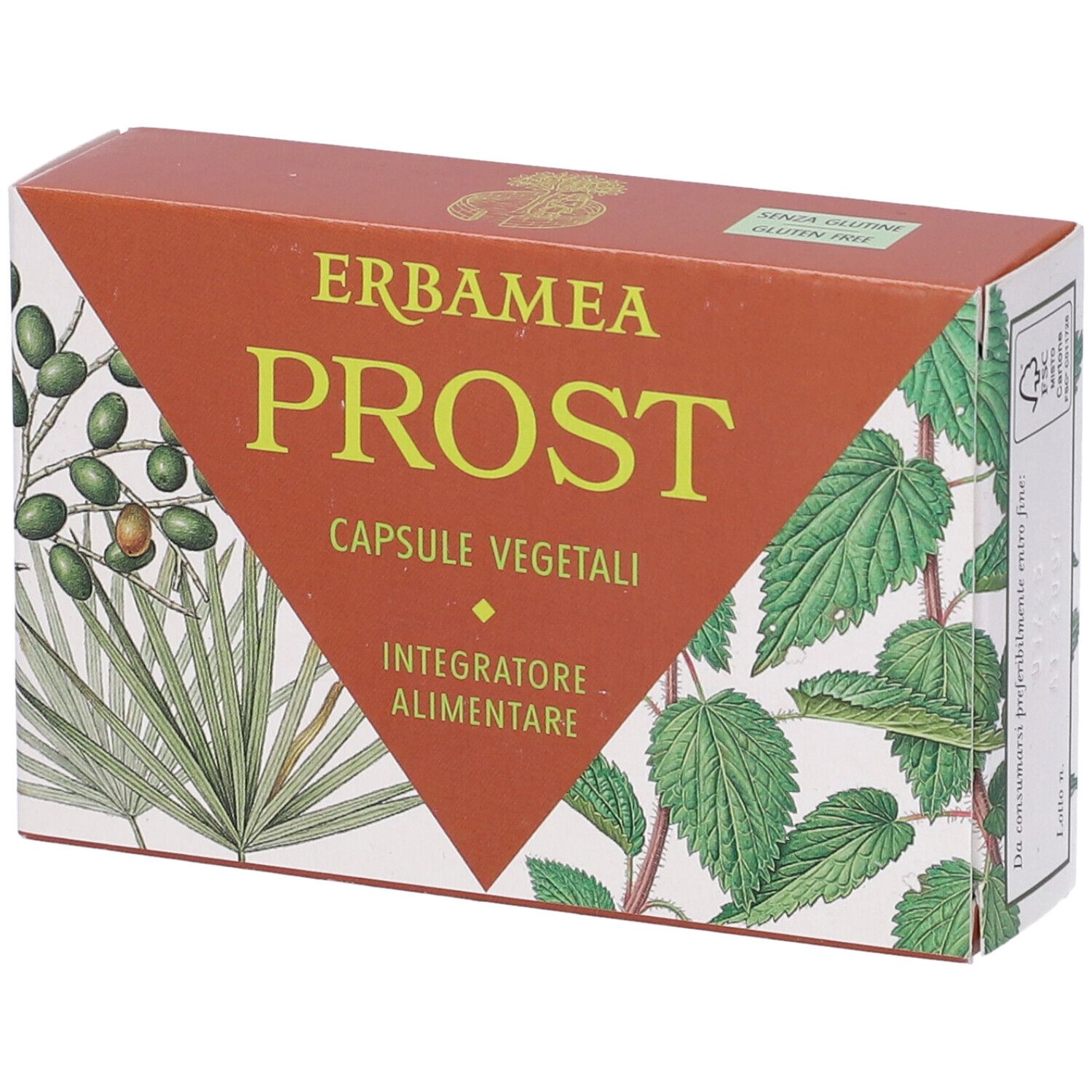 Erbamea Erbamea Prost