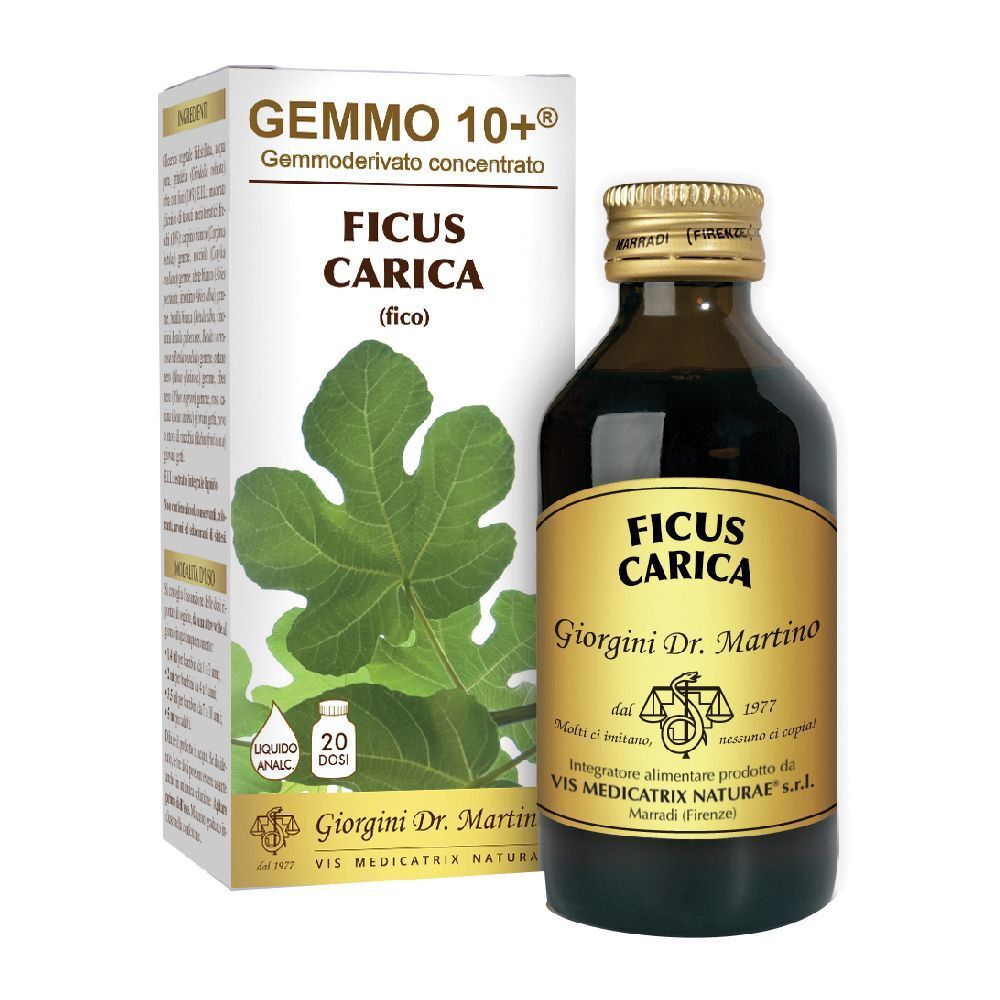 Ficus Carica Gemmo 10+ 100ml Giorgini - Immagine 5