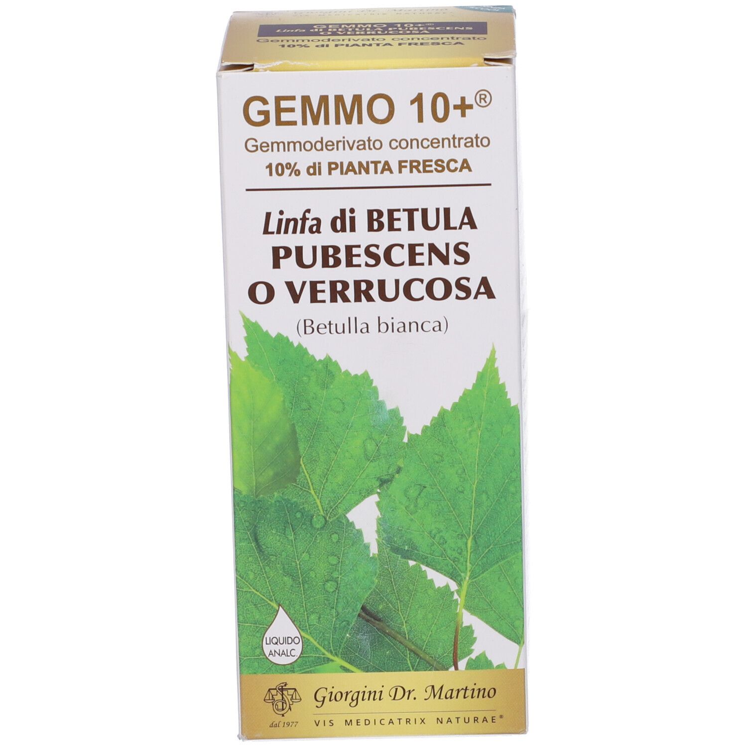 Karton mit 'GEMMO 10+' und 'Linfa di Betula'. Abbildung von Blättern.