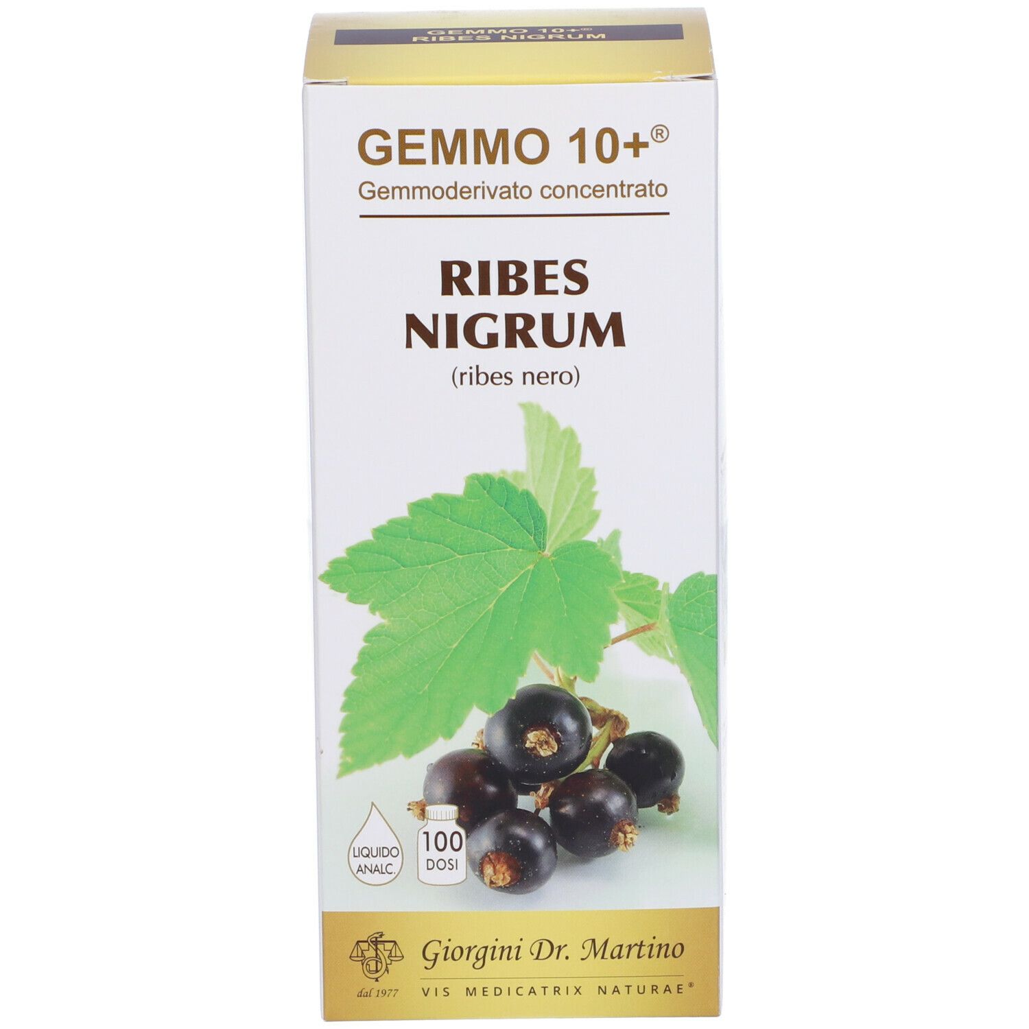 Confezione del prodotto. Scatola con testo: Gemmo 10+, Ribes Nigrum. Illustrazione di ribes e foglie.