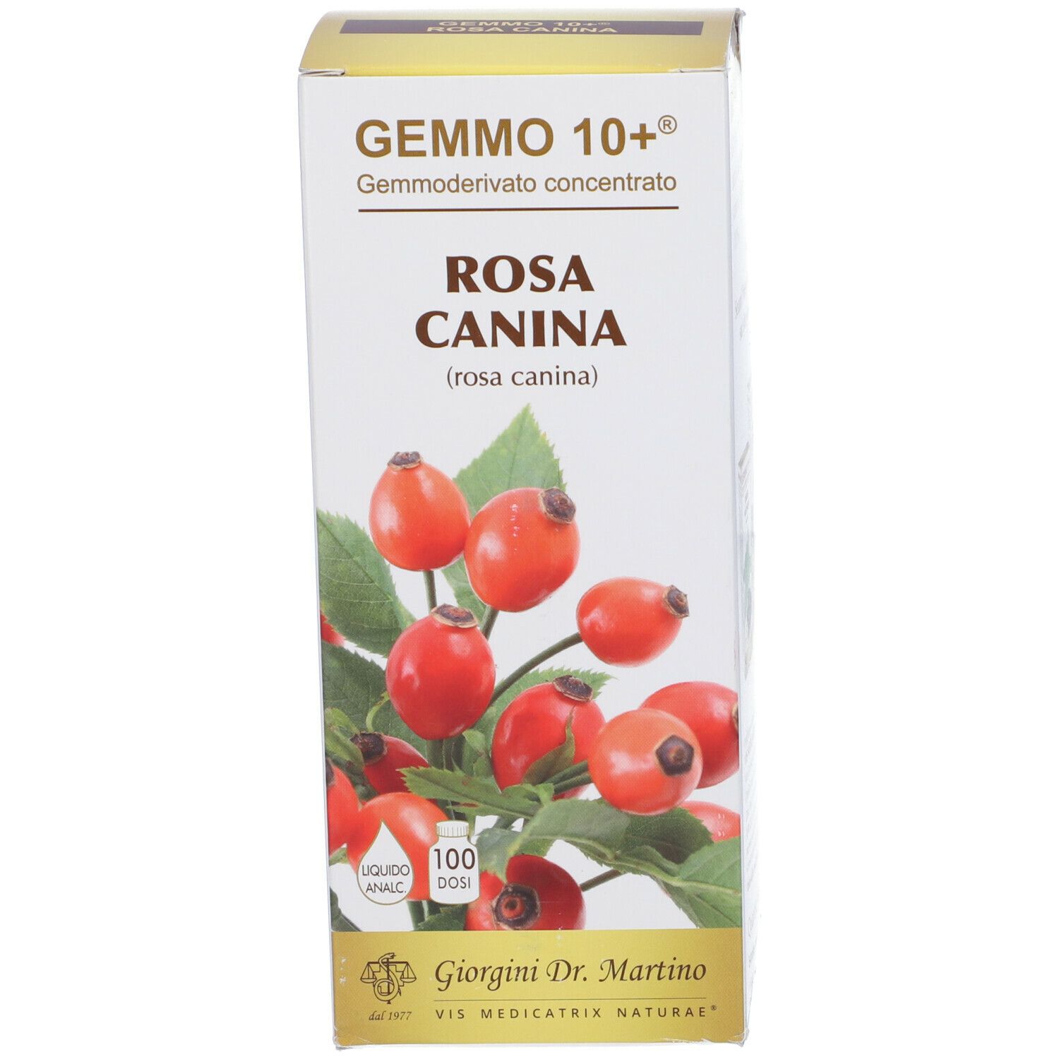 Scatola con testo: Gemmo 10+ Rosa Canina. Illustrazione di rosa canina. Logo.