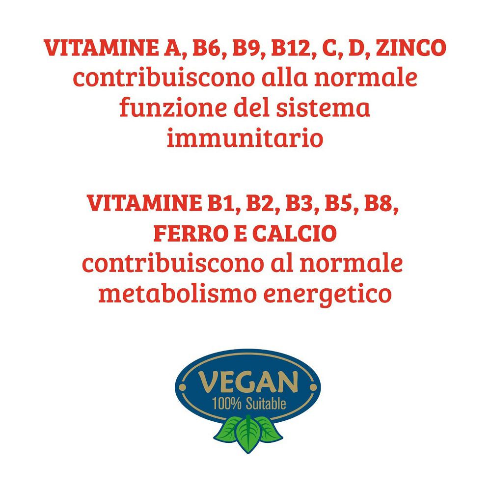 Liste der Vitamine und Mineralstoffe, die die Immunfunktion und den Energiestoffwechsel unterstützen.