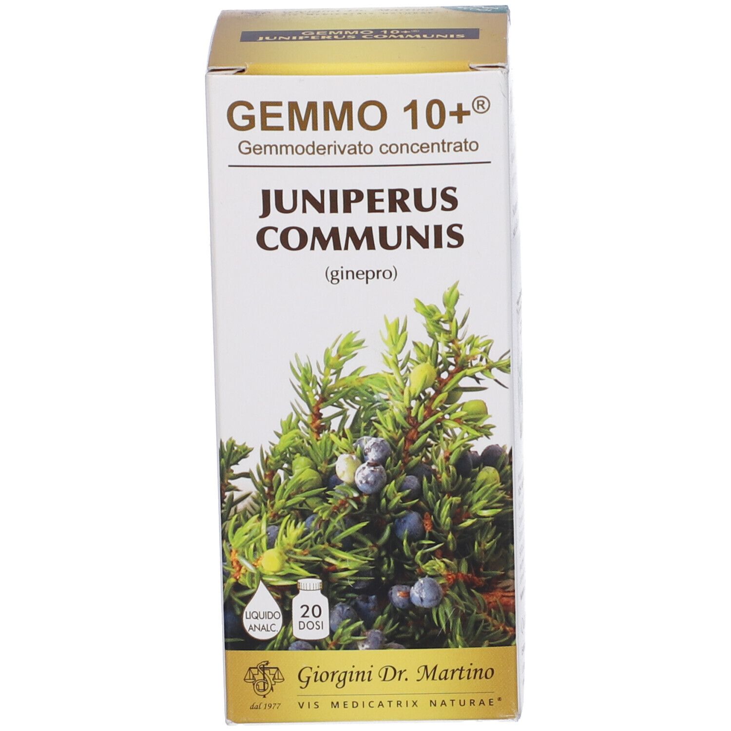 Scatola con scritta: Gemmo 10+ Juniperus Communis. Prodotto da Giorgini Dr. Martino. Con immagine di rami.