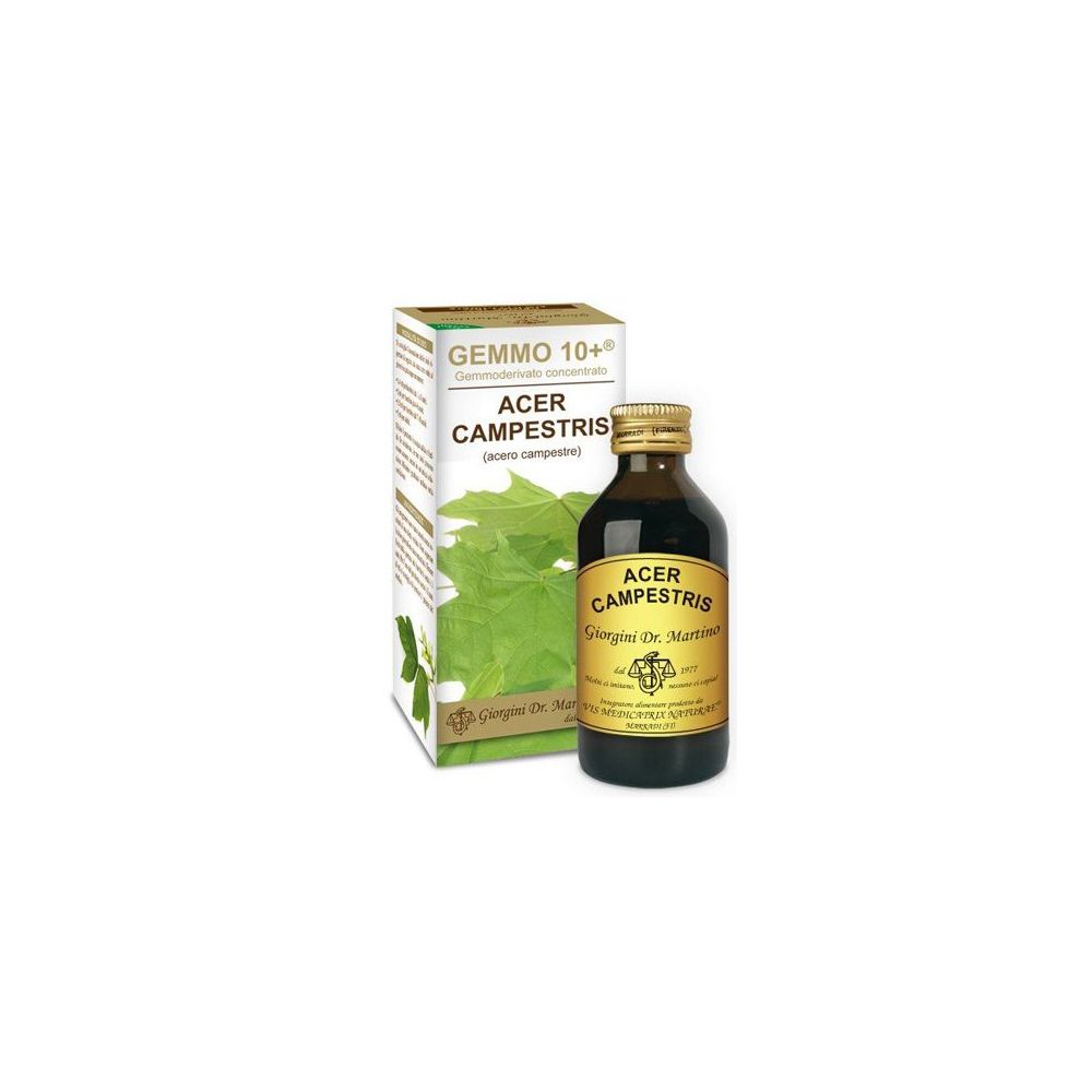 Dr. Giorgini Gemmo 10+ Acero Campestre 100 Ml Liquido Analcolico - Immagine 7