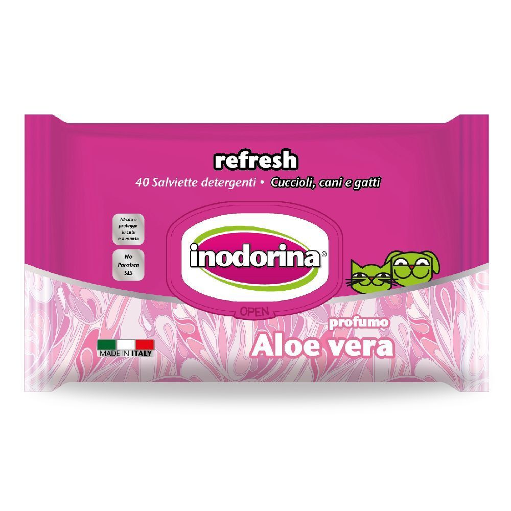 Salviette Aloe Vera Inodorina 40 St Tücher