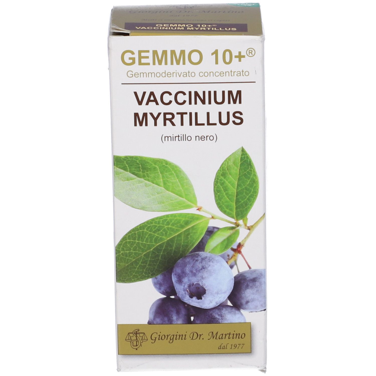 Confezione del prodotto, rettangolare, con immagine e testo del prodotto. Scritta: Gemmo 10+, Vaccinium Myrtillus.